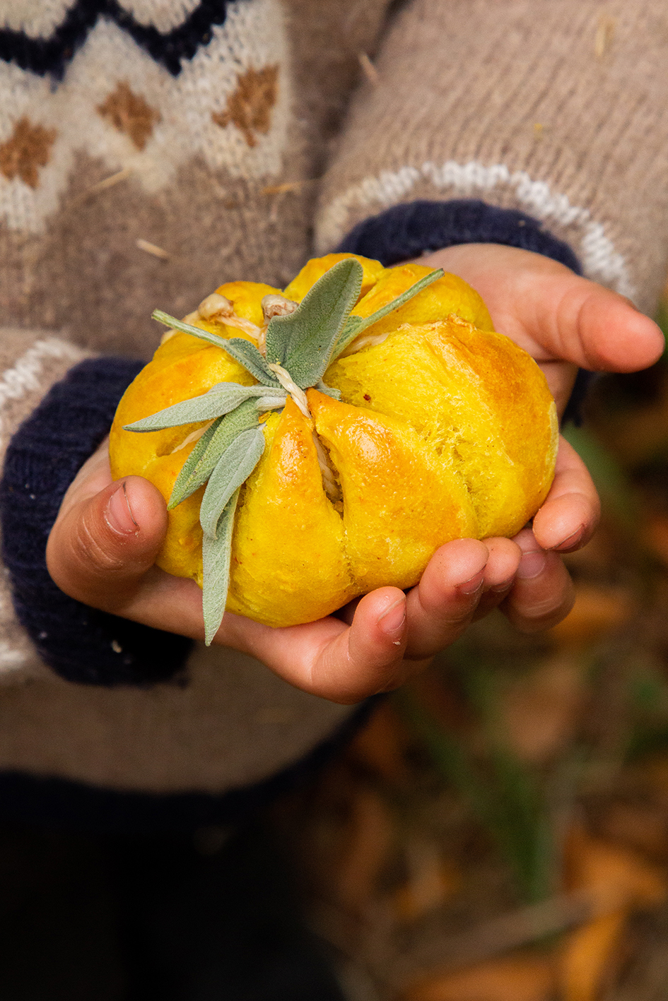 Kürbisköstlichkeiten zum Picknick Kürbisköstlichkeiten zum Picknick | 1_klein.jpg