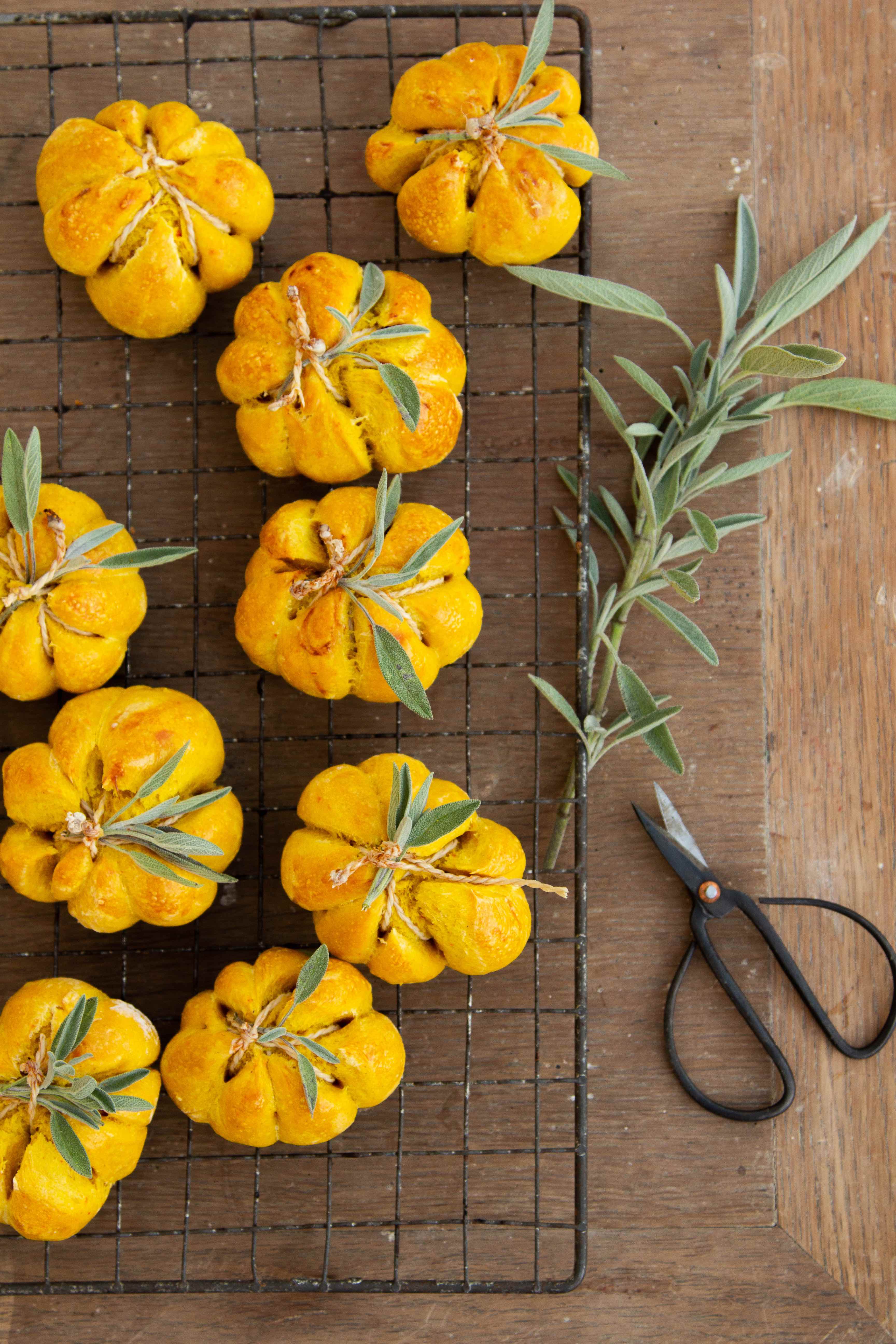Kürbisköstlichkeiten zum Picknick Kürbisköstlichkeiten zum Picknick | Kuerbisbroetchenmitsalbei.jpg