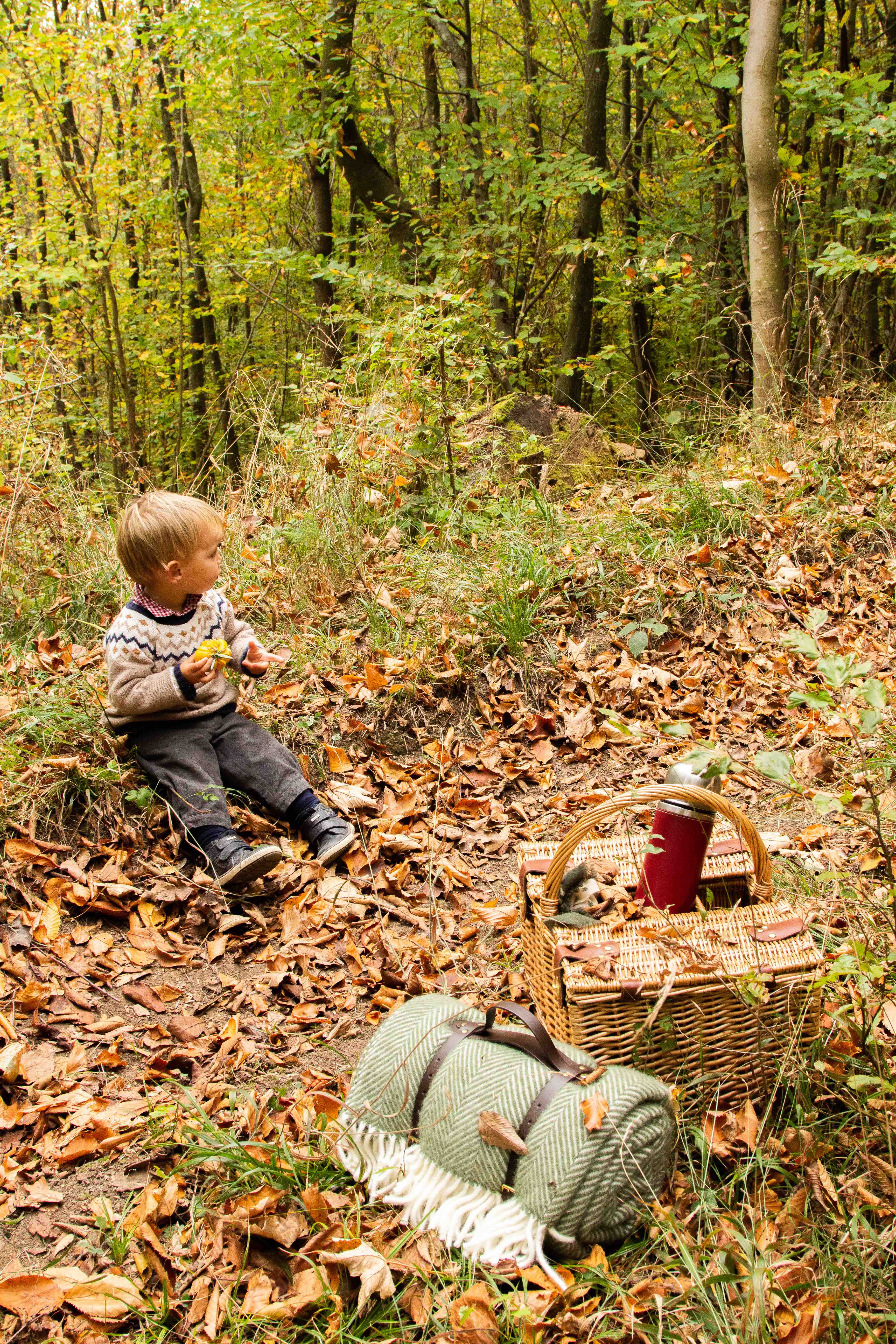Kürbisköstlichkeiten zum Picknick Kürbisköstlichkeiten zum Picknick | maximmitbroetchen.jpg