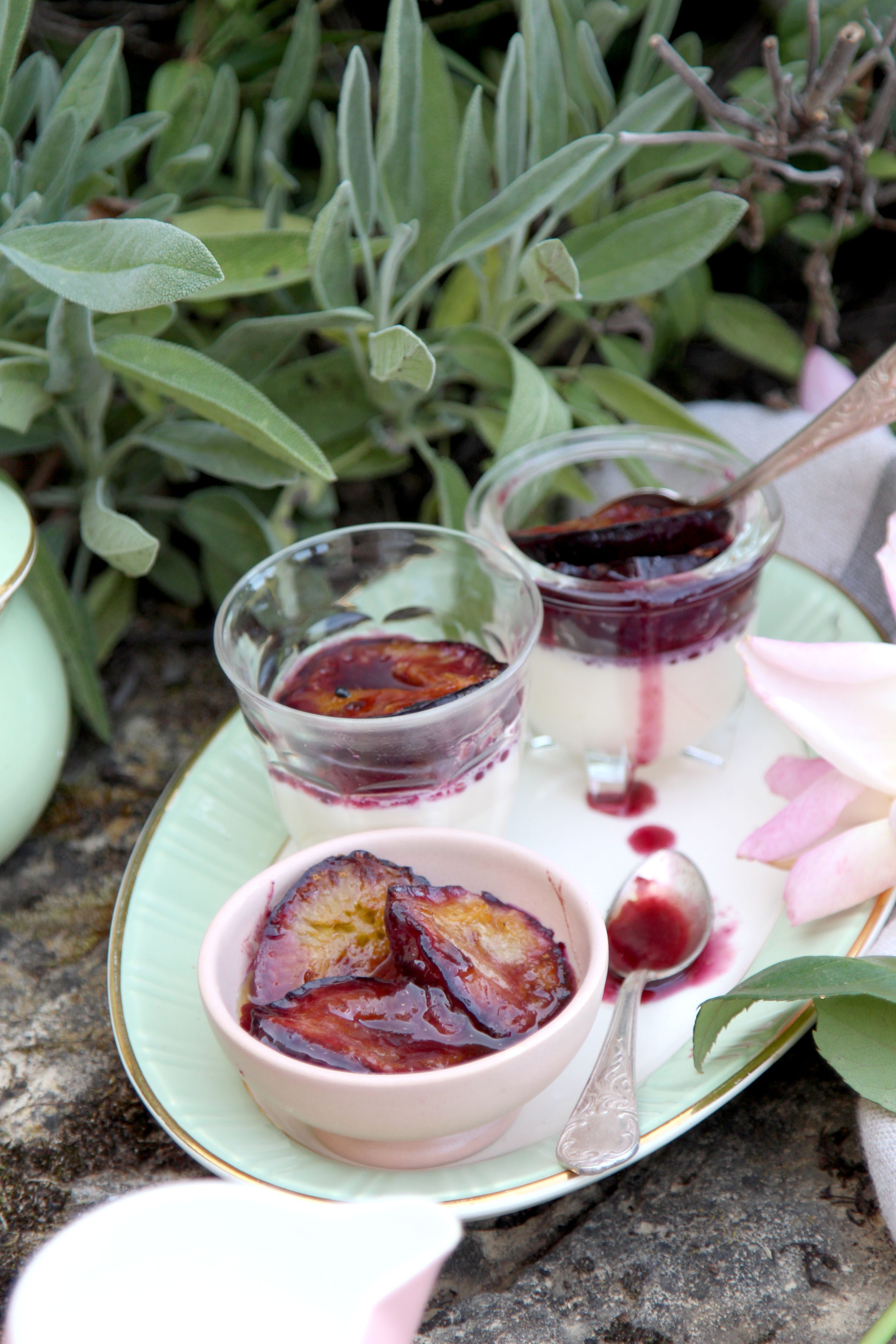 Theresas Küche Panna Cotta mit Pflaumen