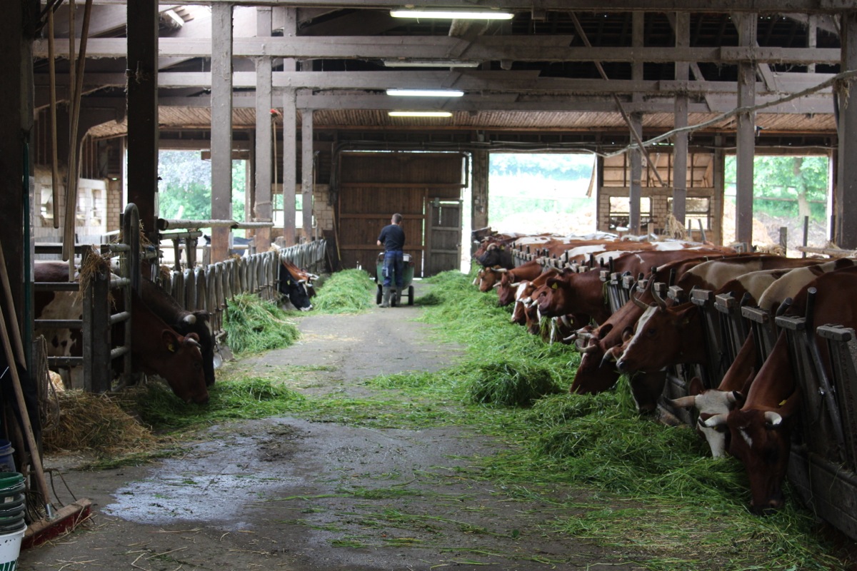 Overnight Oats  | kuehehausbollheim4.JPG.JPG
