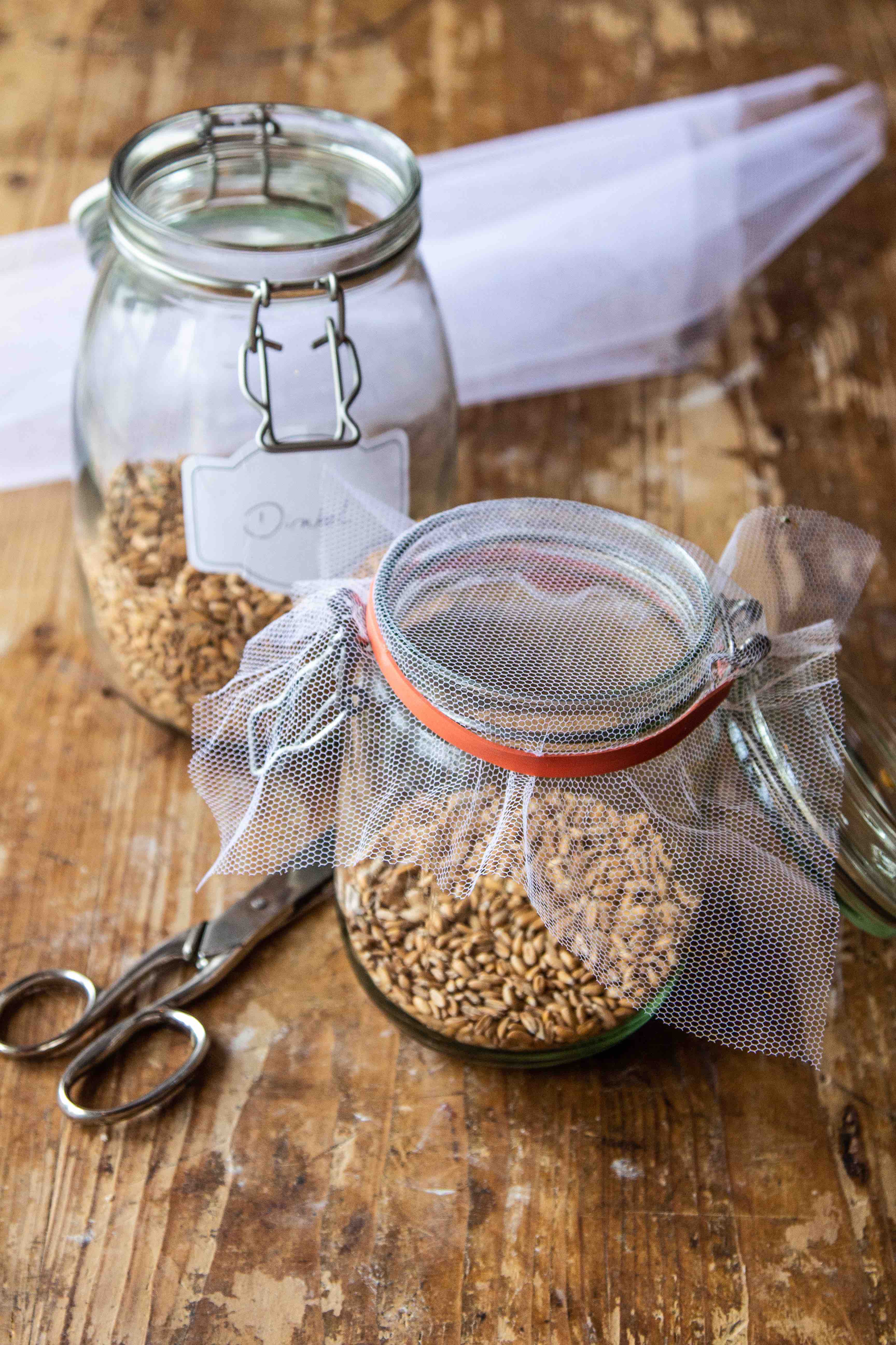 Herrlich saftige Vollkornbrötchen mit Dinkelsprossen  Herrlich saftige Vollkornbrötchen mit Dinkelsprossen  | Sprossenselbermachen.jpg