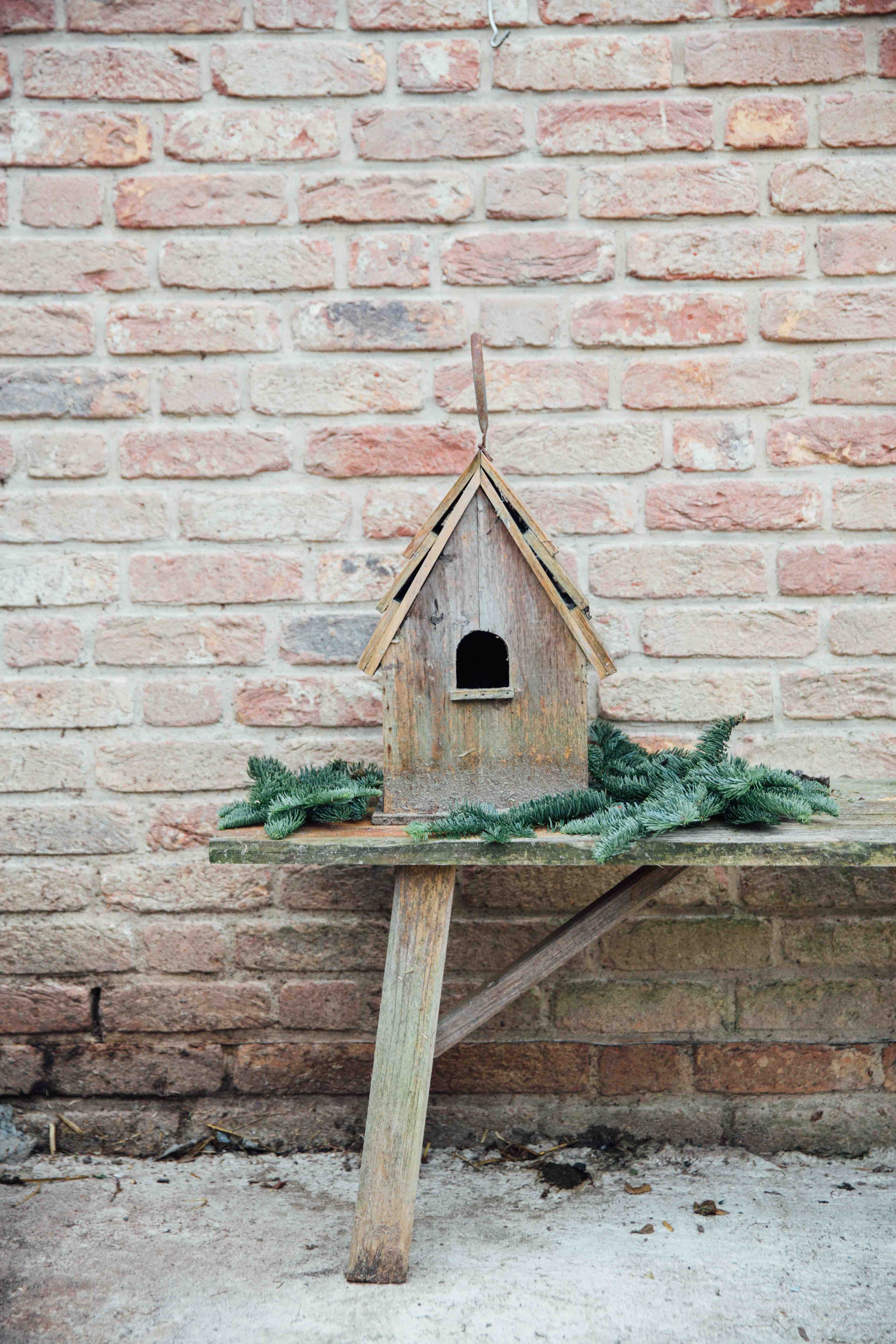 Theresas Apfel-Weihnachtstorte  Theresas Apfel-Weihnachtstorte  | K85B7409.jpg