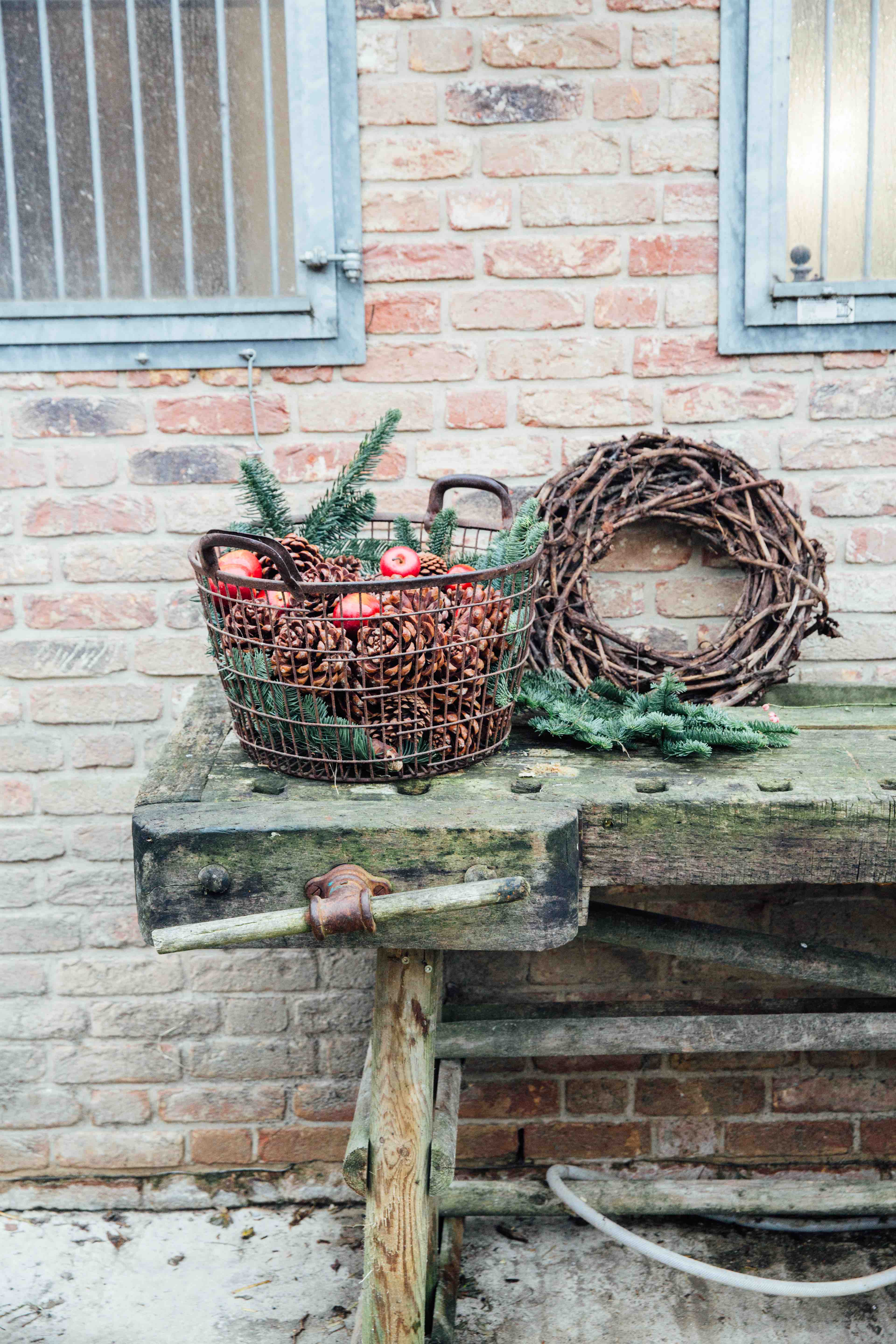 Theresas Apfel-Weihnachtstorte  Theresas Apfel-Weihnachtstorte  | K85B7423.jpg