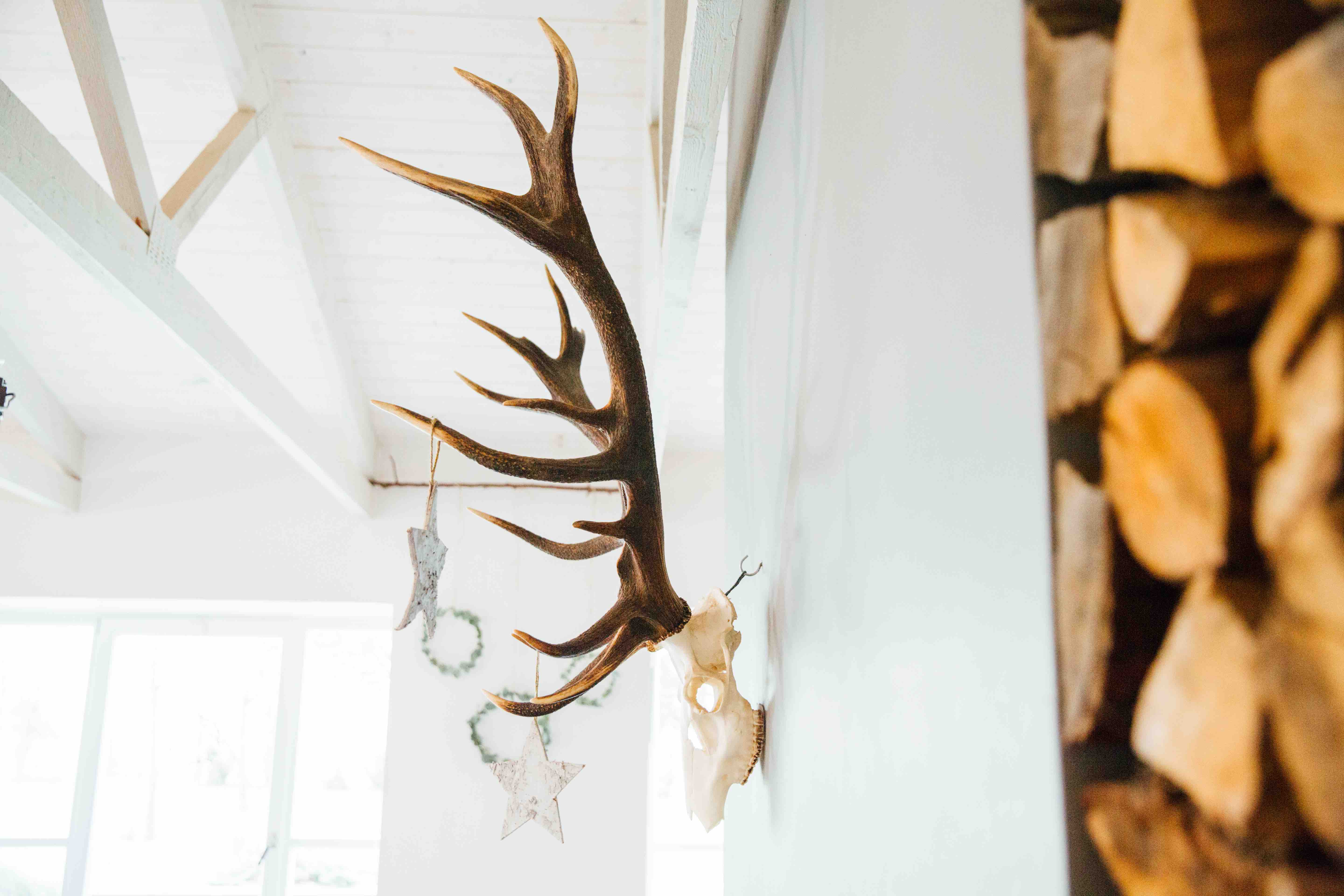 Theresas Apfel-Weihnachtstorte  Theresas Apfel-Weihnachtstorte  | K85B7660.jpg