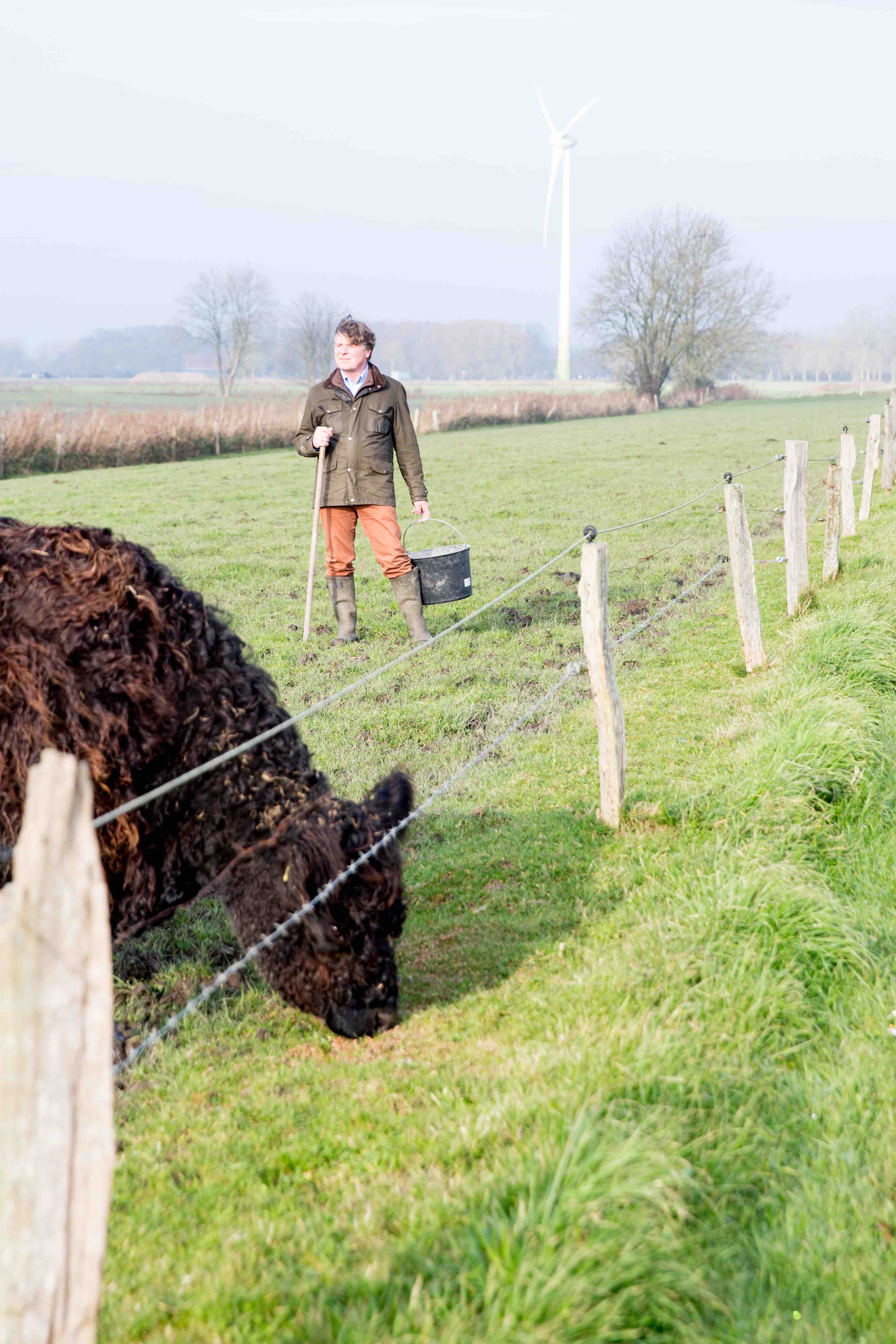 Theresas Apfel-Weihnachtstorte  Theresas Apfel-Weihnachtstorte  | K85B7866.jpg