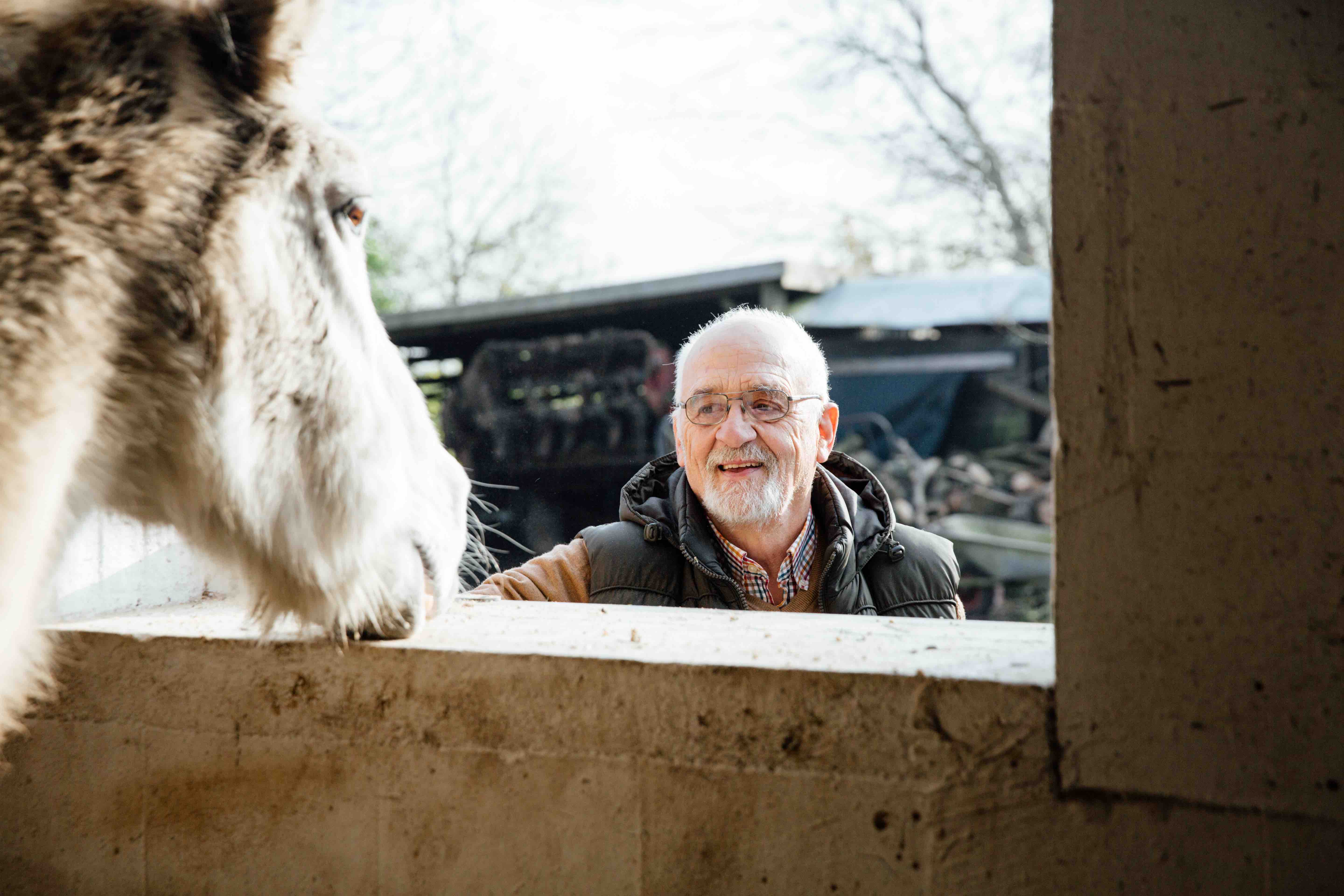 Theresas Apfel-Weihnachtstorte  Theresas Apfel-Weihnachtstorte  | K85B7968.jpg