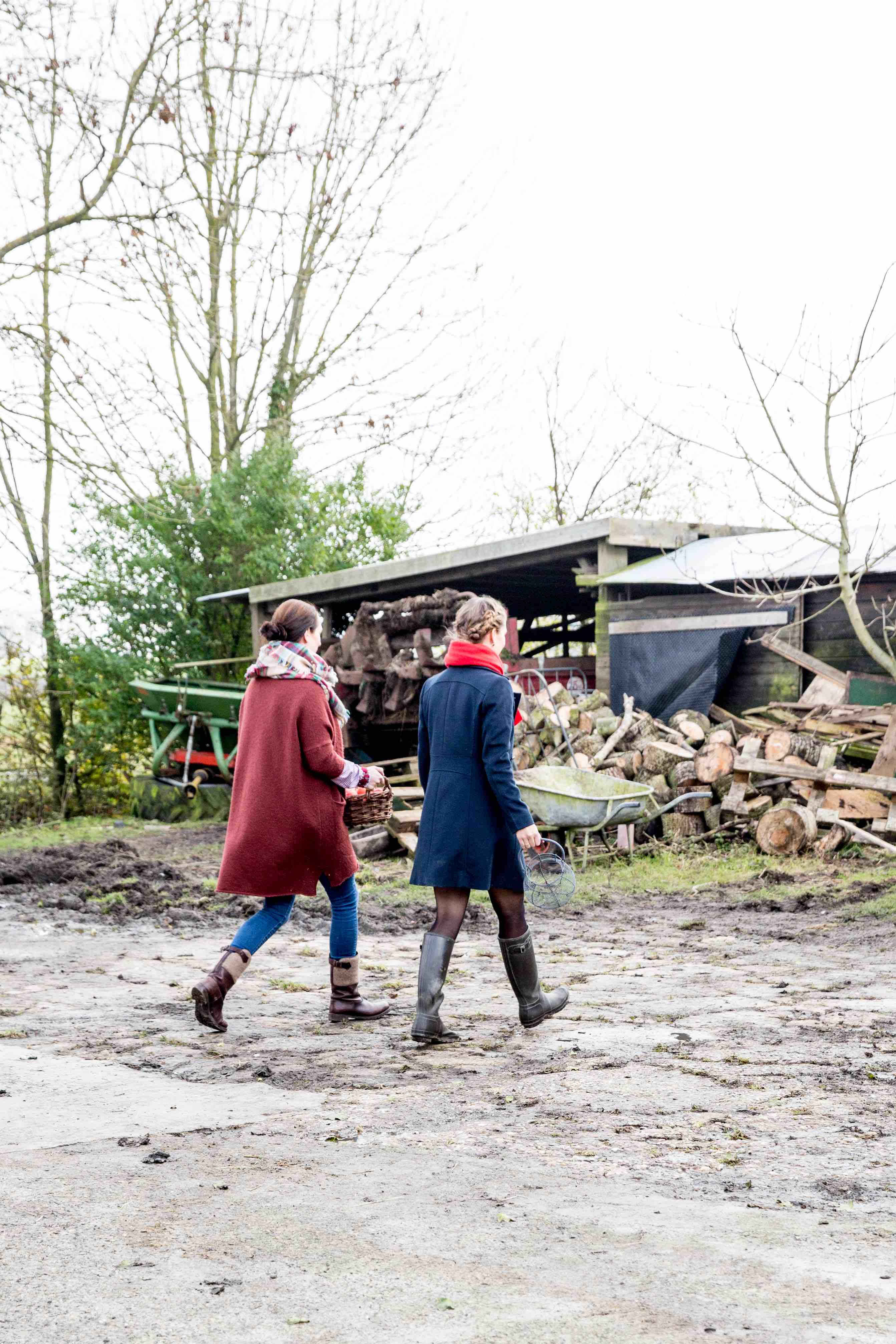 Theresas Apfel-Weihnachtstorte  Theresas Apfel-Weihnachtstorte  | K85B8165.jpg