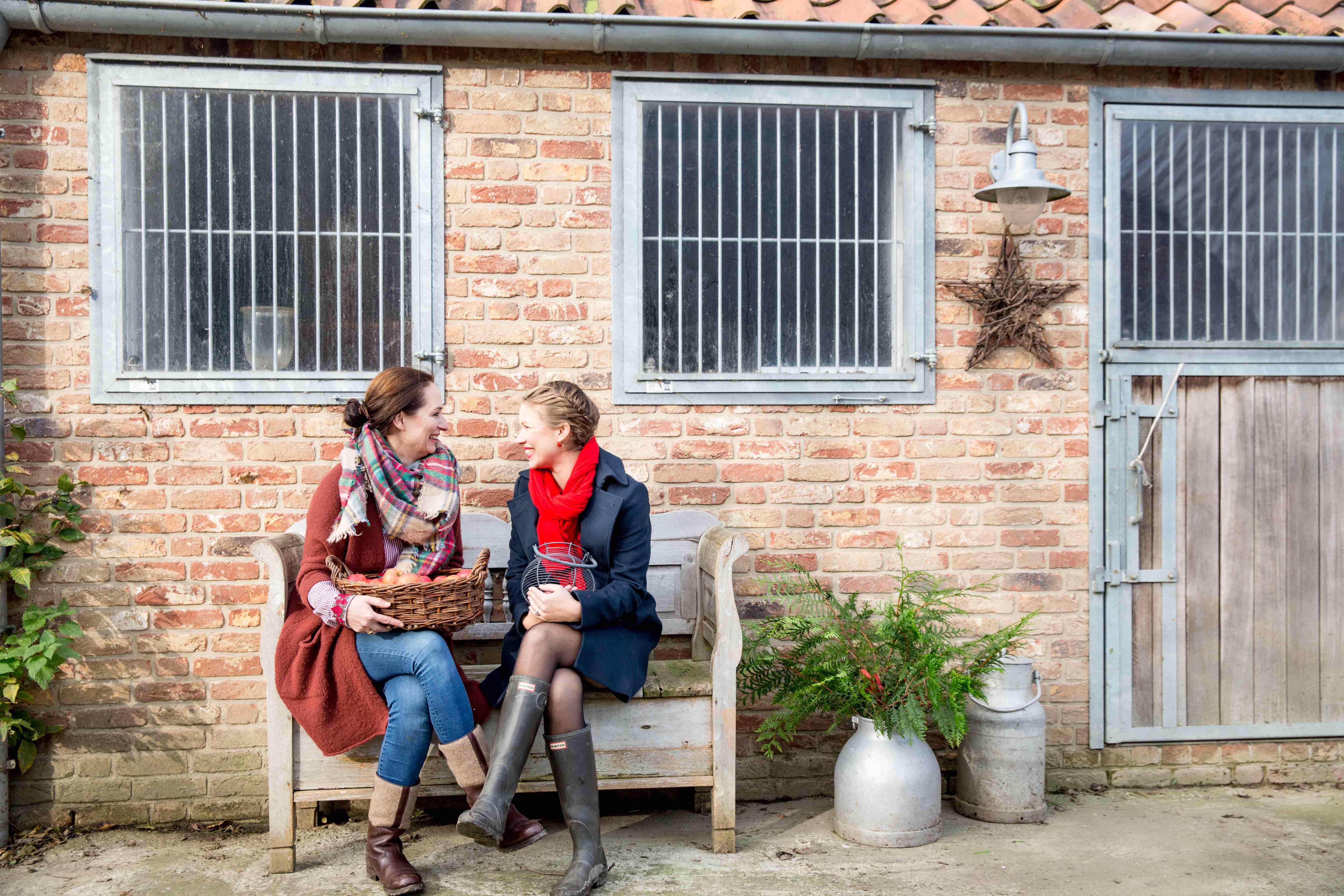 Theresas Apfel-Weihnachtstorte  Theresas Apfel-Weihnachtstorte  | K85B8296.jpg