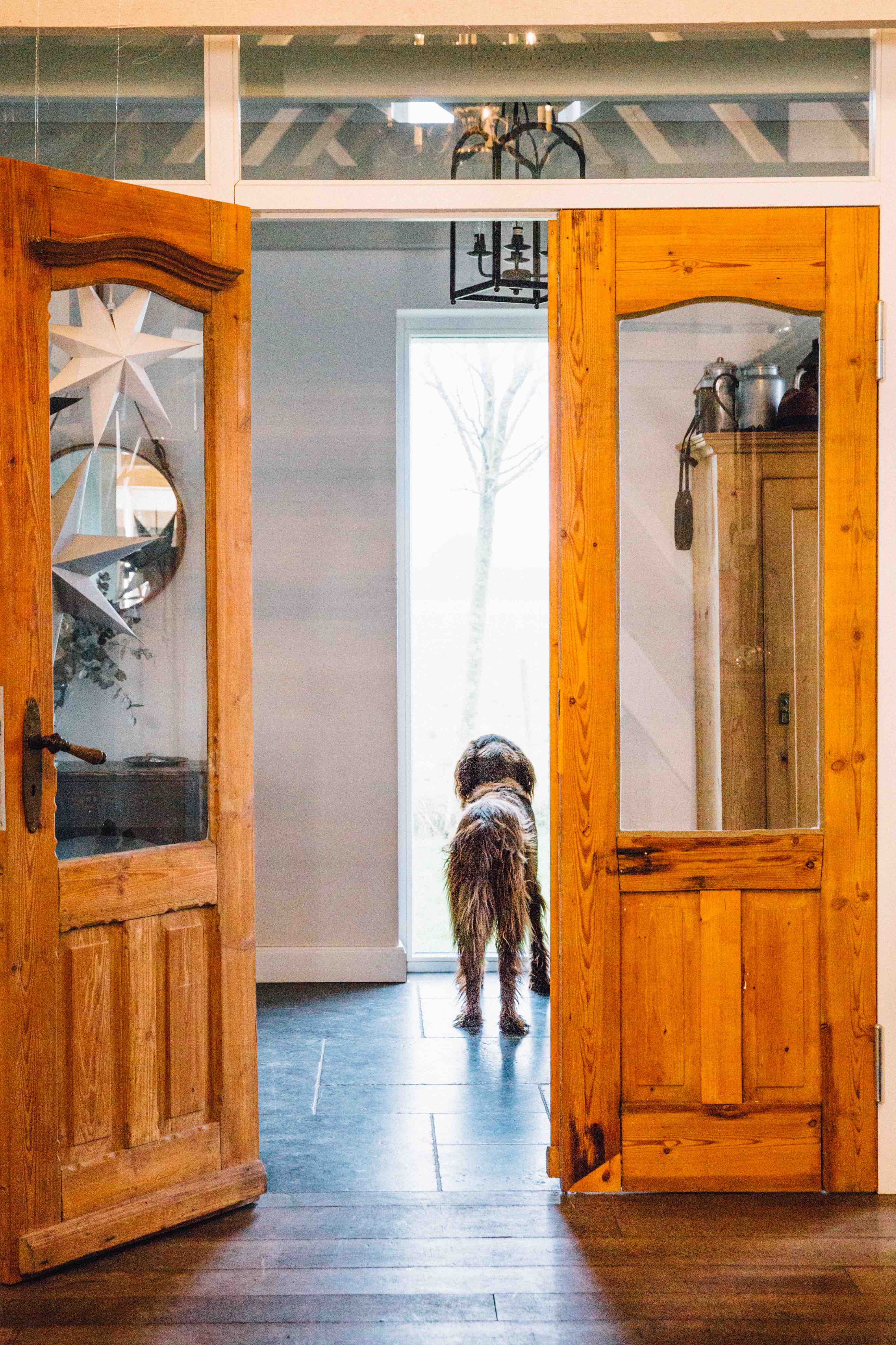 Theresas Apfel-Weihnachtstorte  Theresas Apfel-Weihnachtstorte  | K85B8414.jpg