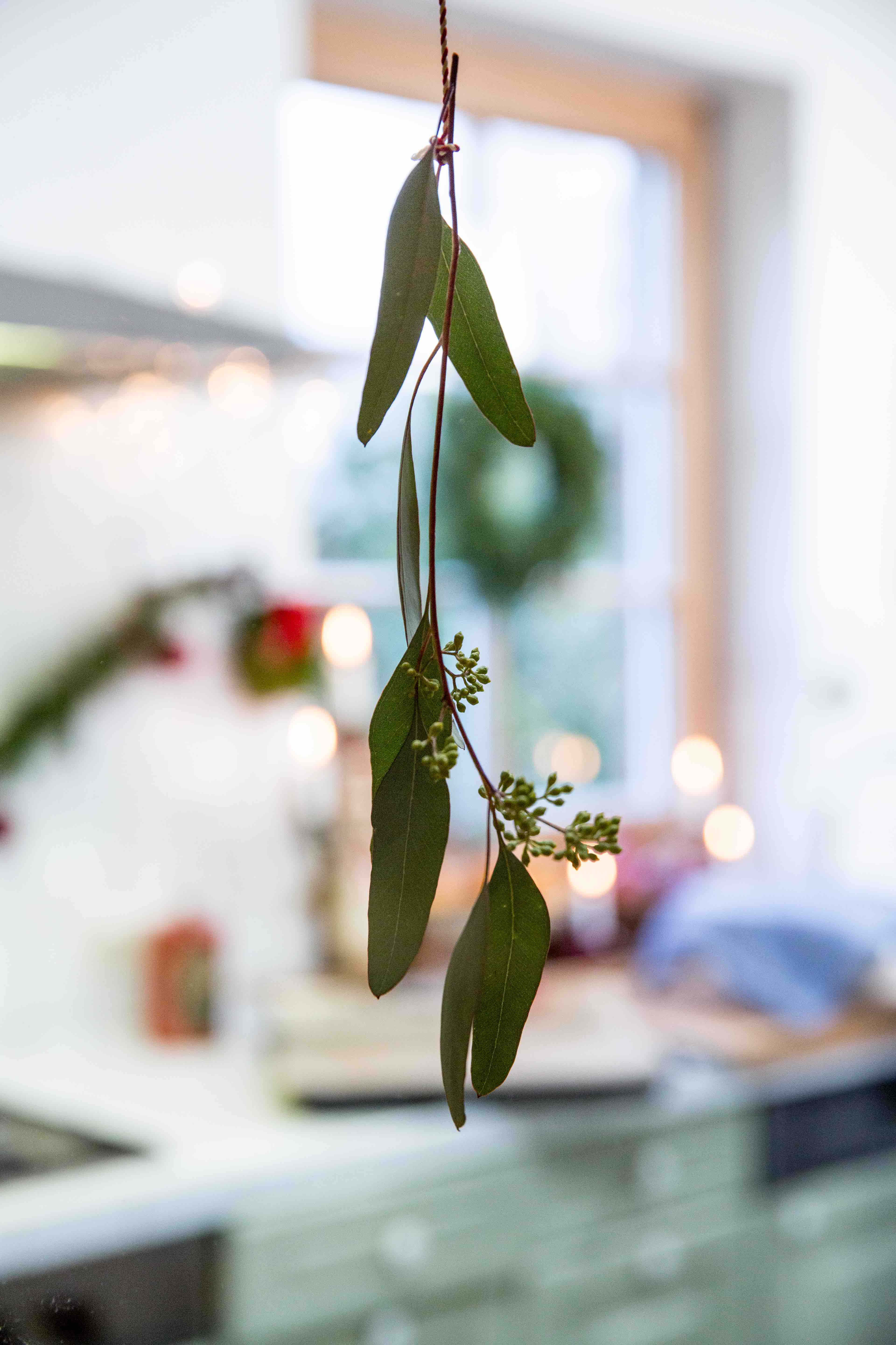 Schwedische Lussekatter Schwedische Lussekatter | K85B6278.jpg