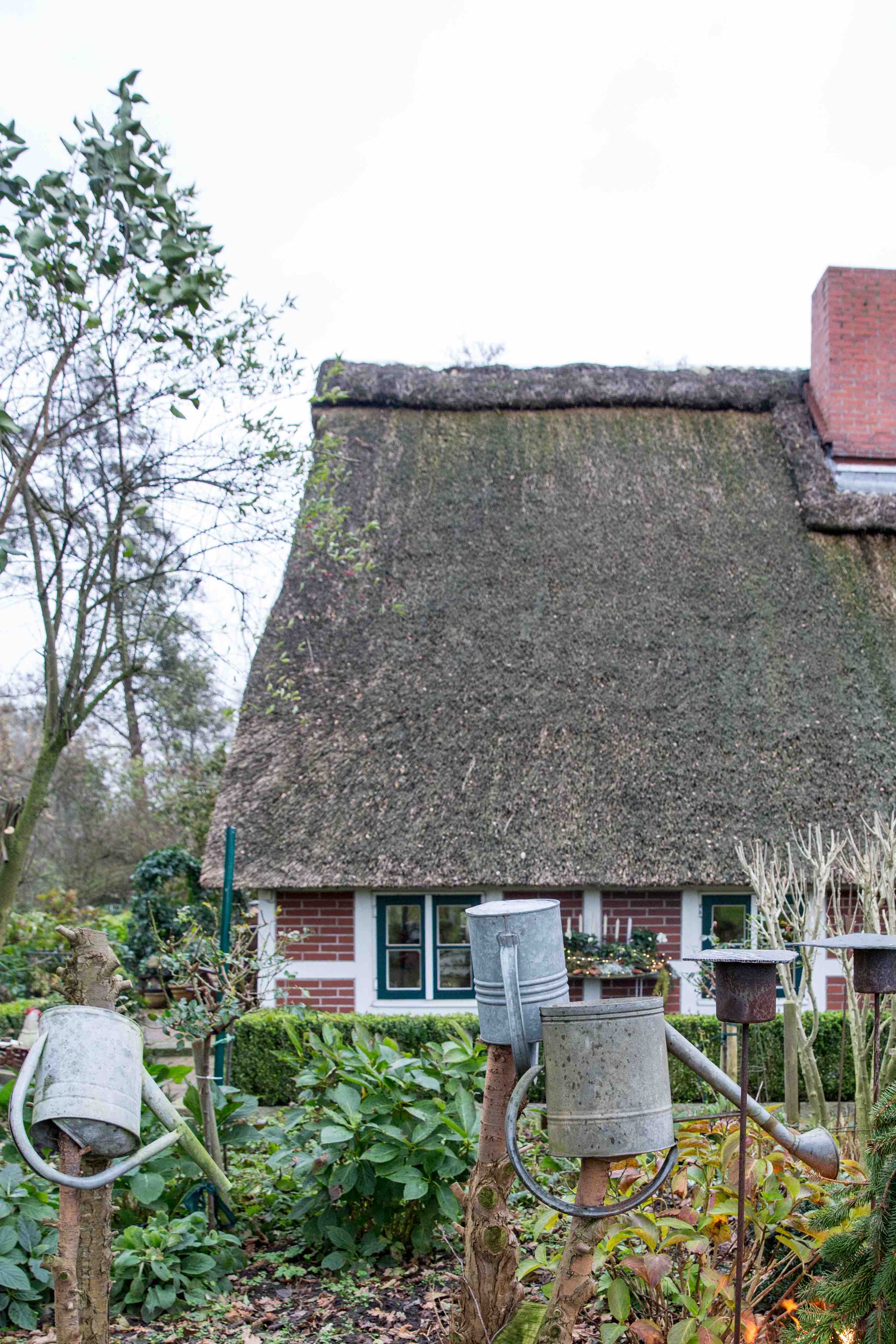 Ulrikes weihnachtliche Wildpastete | K85B8933.jpg