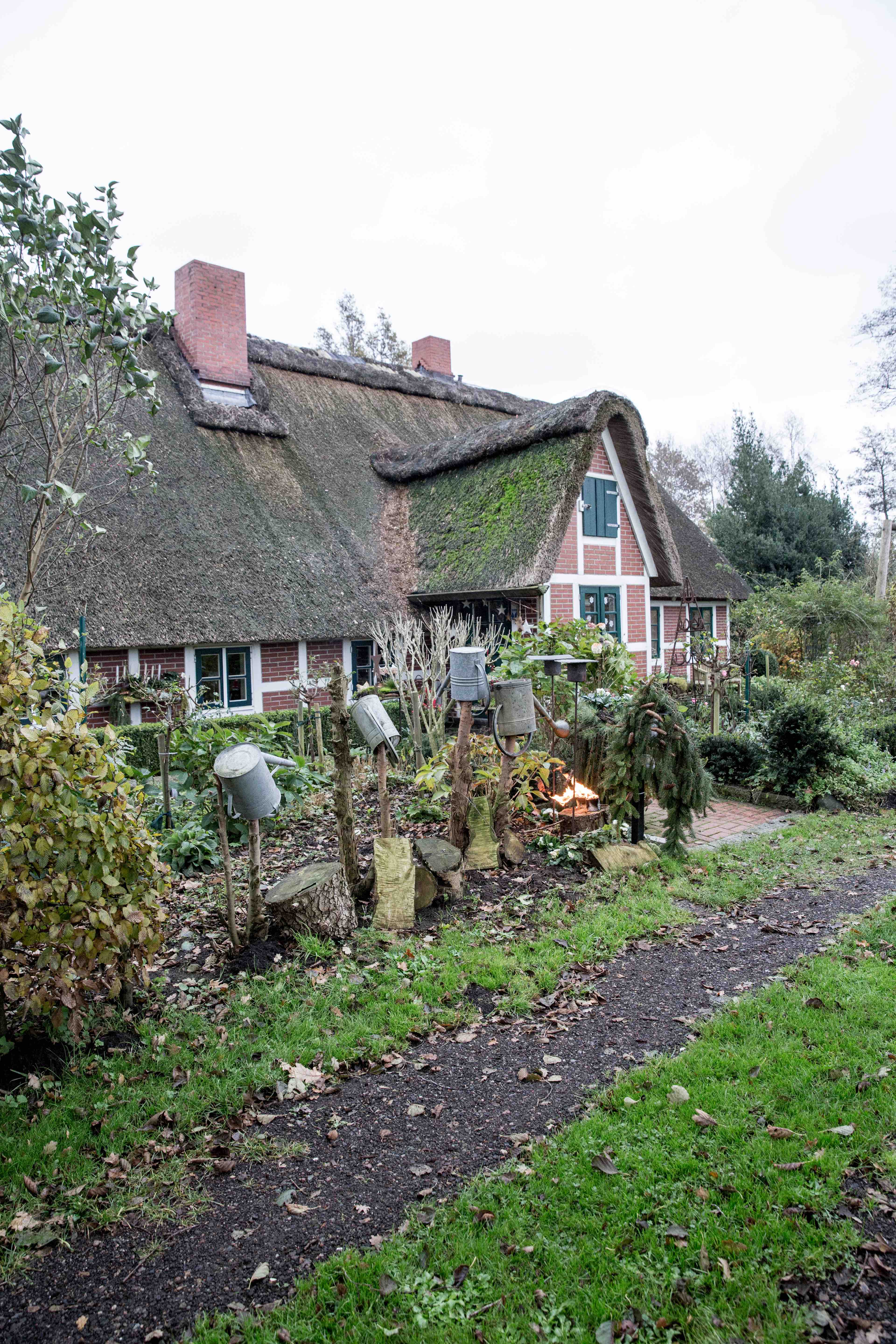 Ulrikes weihnachtliche Wildpastete | K85B8938.jpg