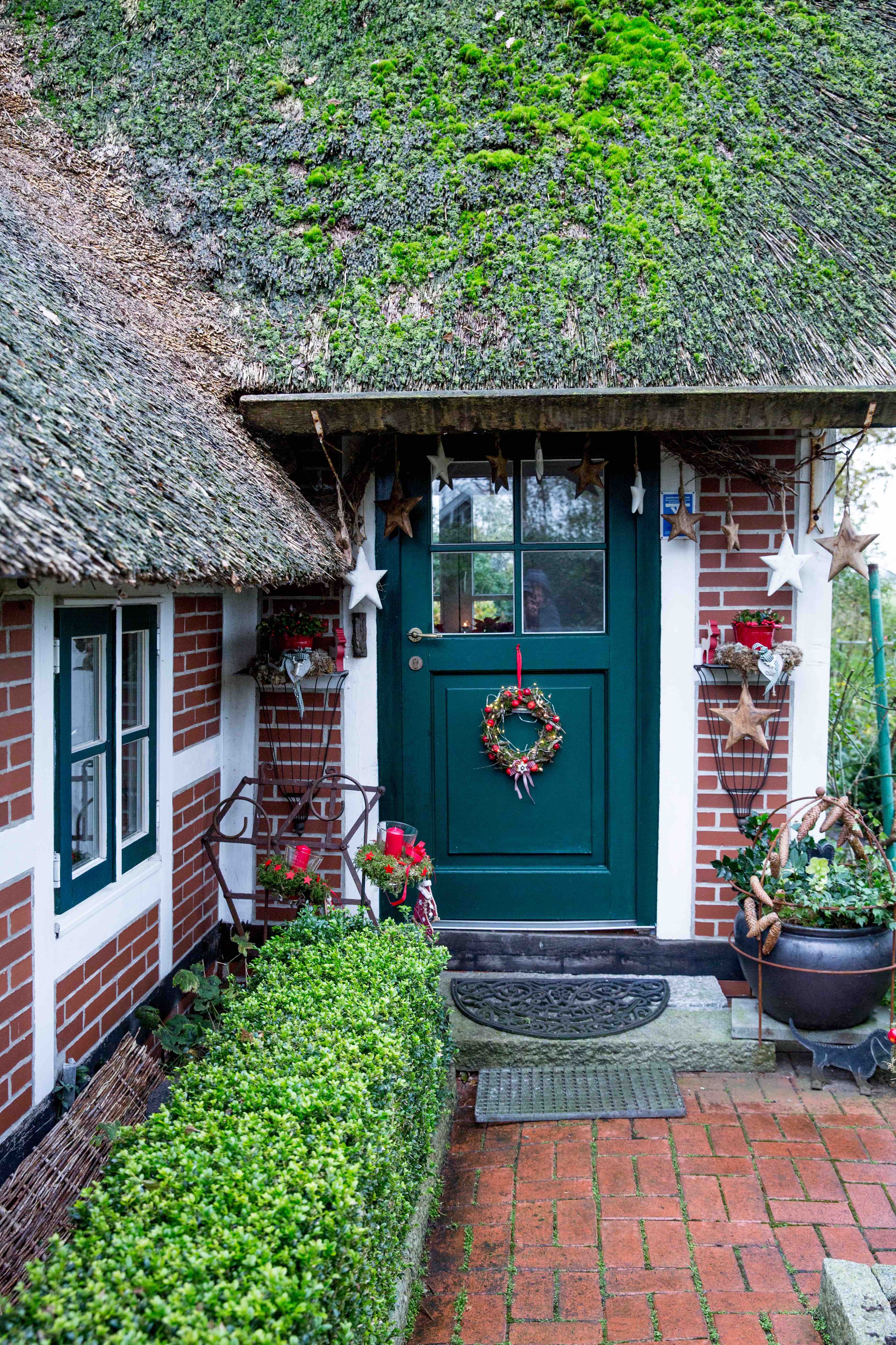 Ulrikes weihnachtliche Wildpastete | K85B9309.jpg