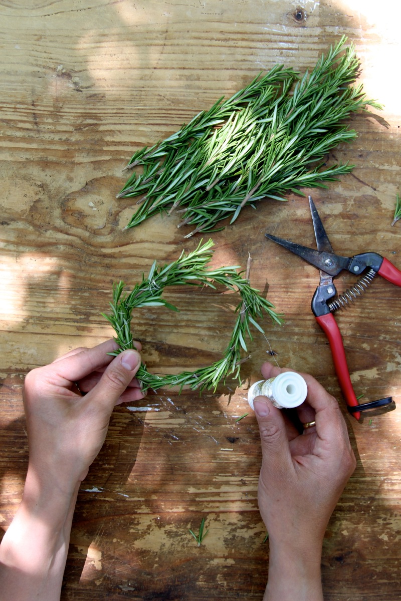 Einladung zum Tomatenfest | IMG_2918-Kopie.JPG