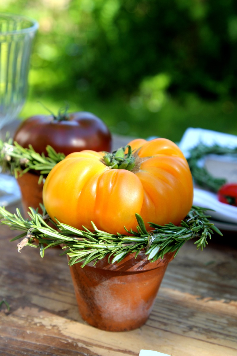 Einladung zum Tomatenfest Einladung zum Tomatenfest | IMG_2952.jpg