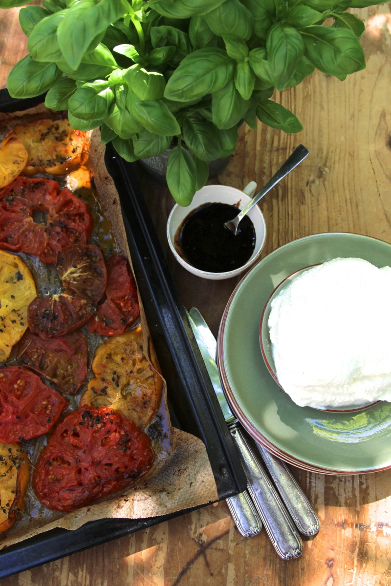 Einladung zum Tomatenfest Einladung zum Tomatenfest | R3a.jpg