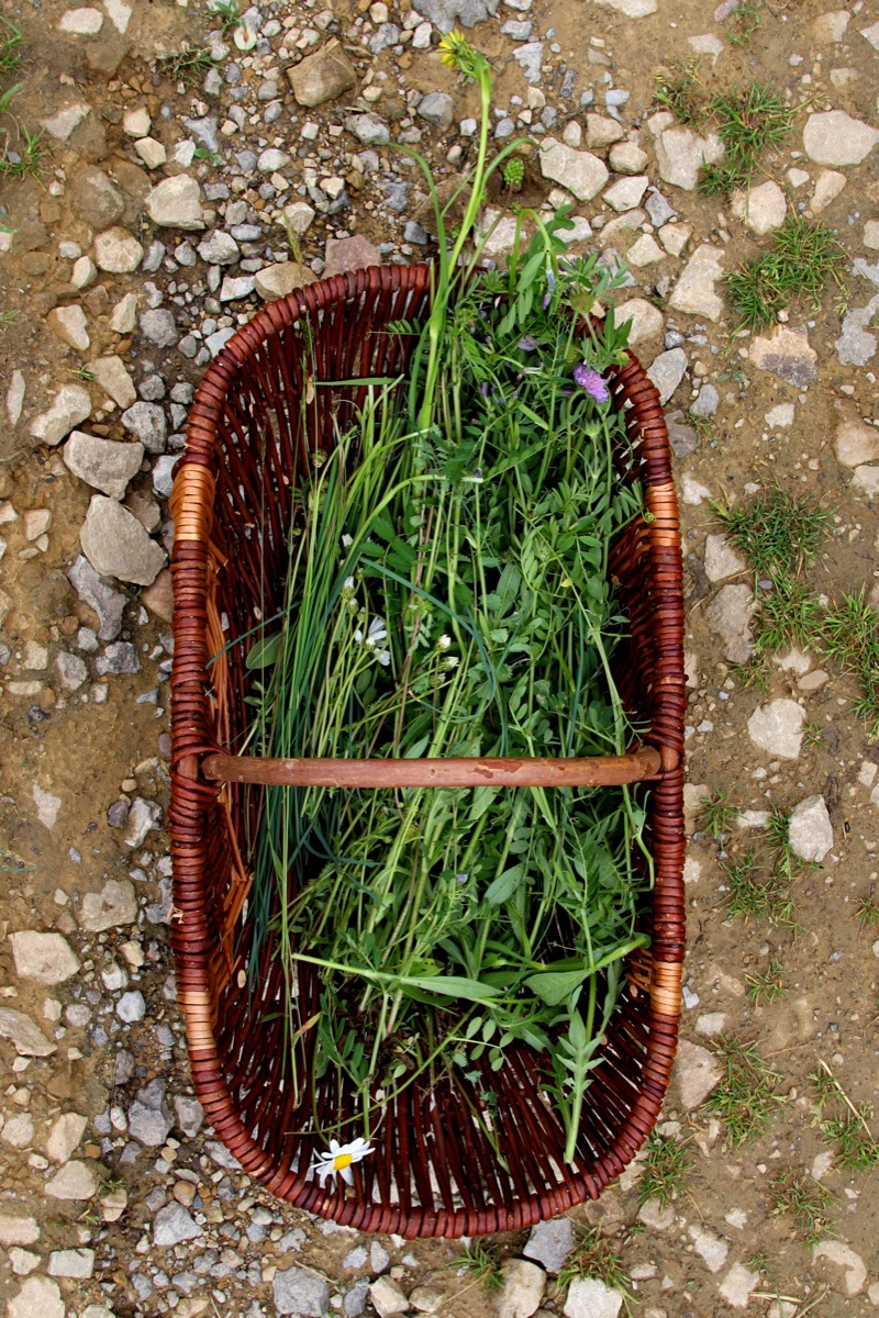 Weißer Spargel mit Parmesankruste und einem Wildkräuter-Salat | krauterwanderungluxemburg.JPG