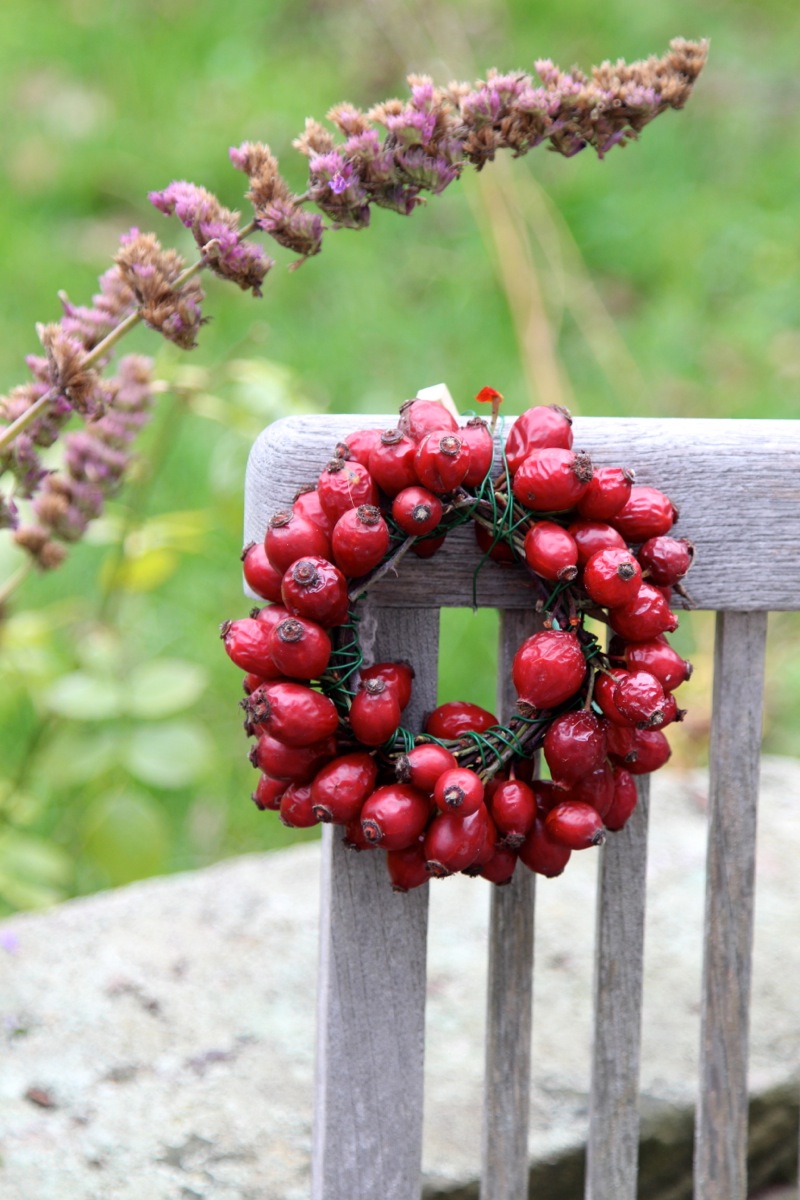 Karamellisierte Kürbistarte ohne Boden Karamellisierte Kürbistarte ohne Boden | IMG_9012.jpg