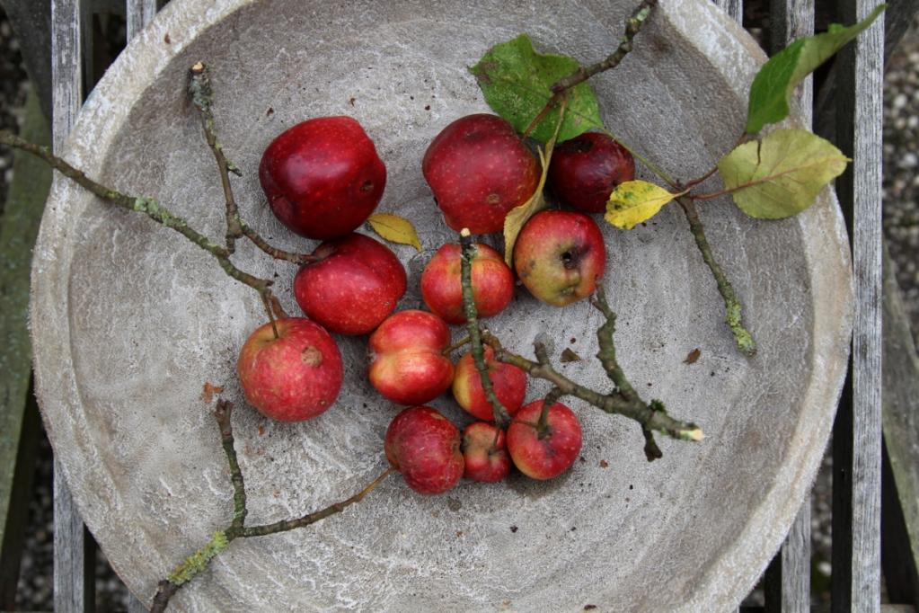 Karamellisierte Kürbistarte ohne Boden | IMG_9022.JPG