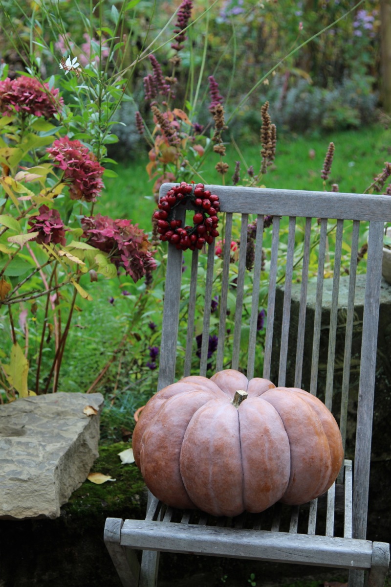 Karamellisierte Kürbistarte ohne Boden Karamellisierte Kürbistarte ohne Boden | IMG_9046.jpg
