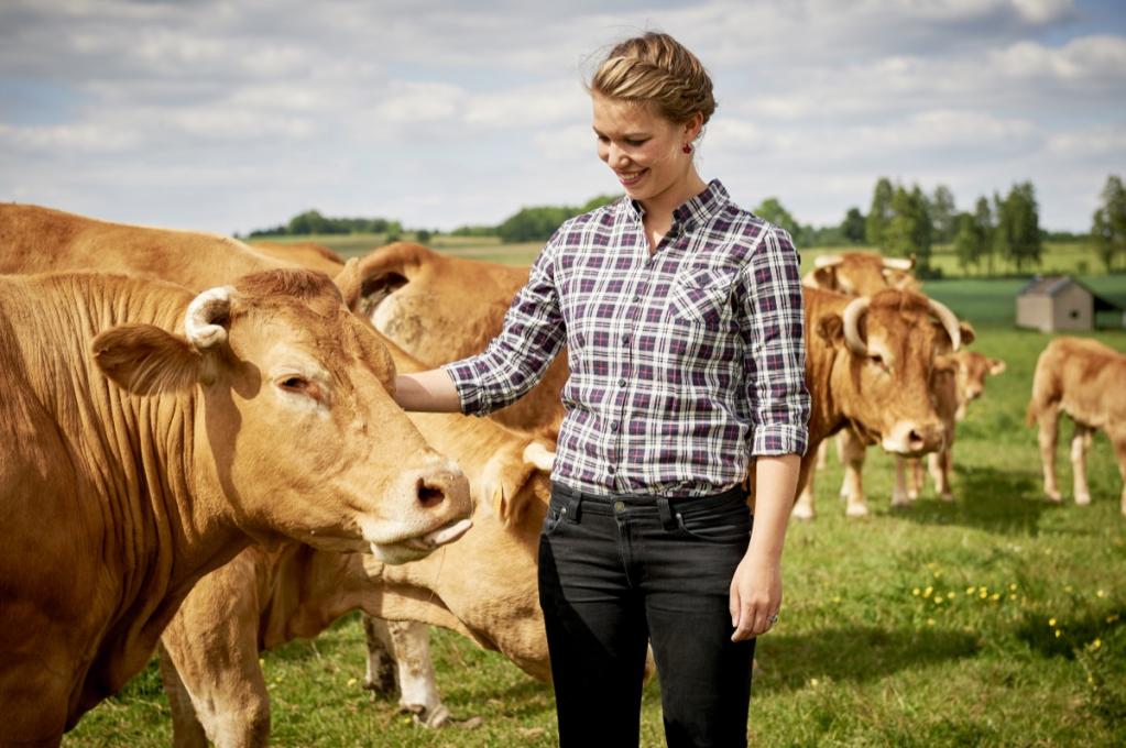Rinderroulade mit Serviettenknödeln Rinderroulade mit Serviettenknödeln | _DSC3526.jpg