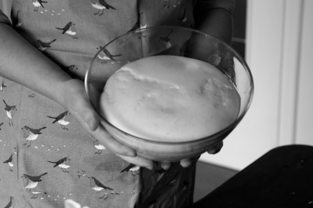 Lustige Tiere aus Hefeteig | IMG_7019.JPG