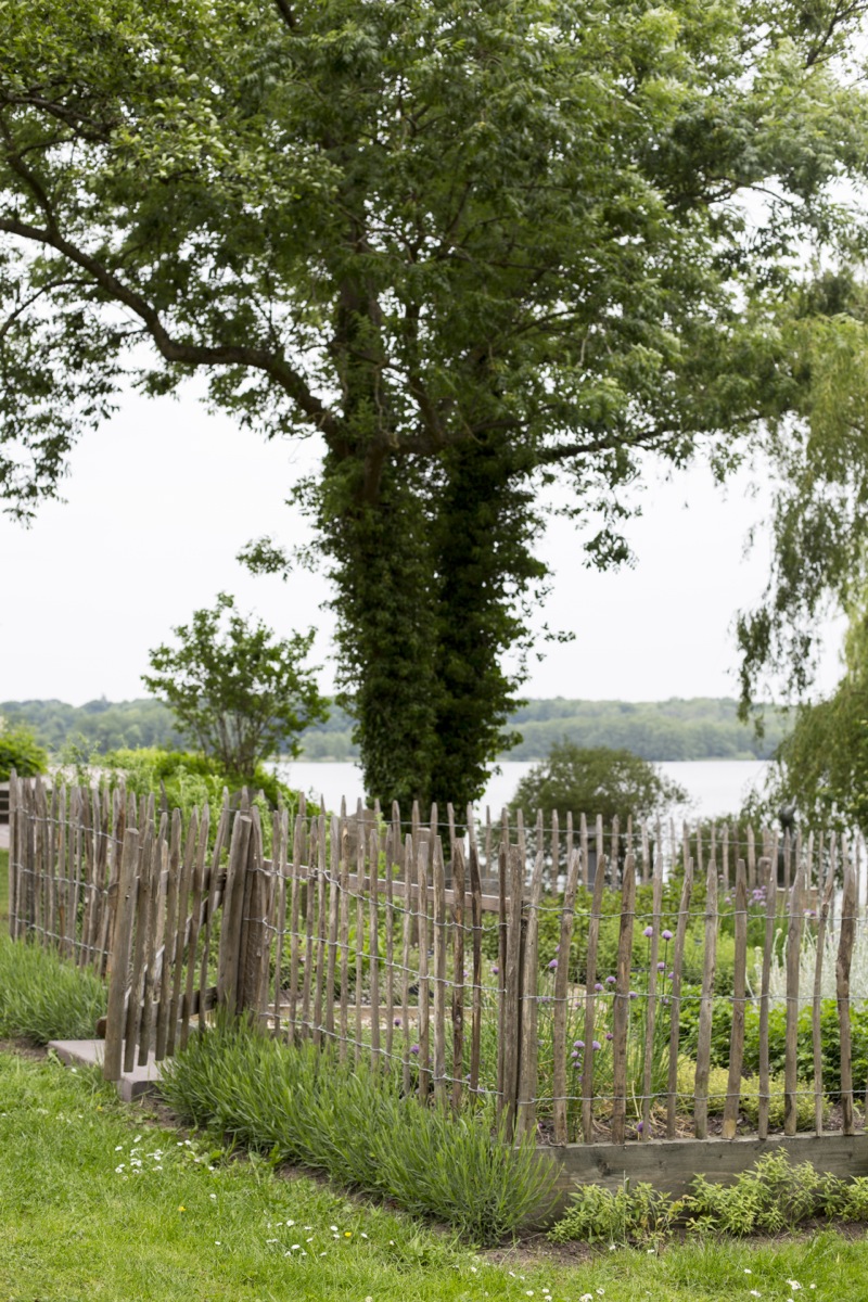 Süß-sauer eingelegte Makrelen Süß-sauer eingelegte Makrelen | K85B8608.jpg