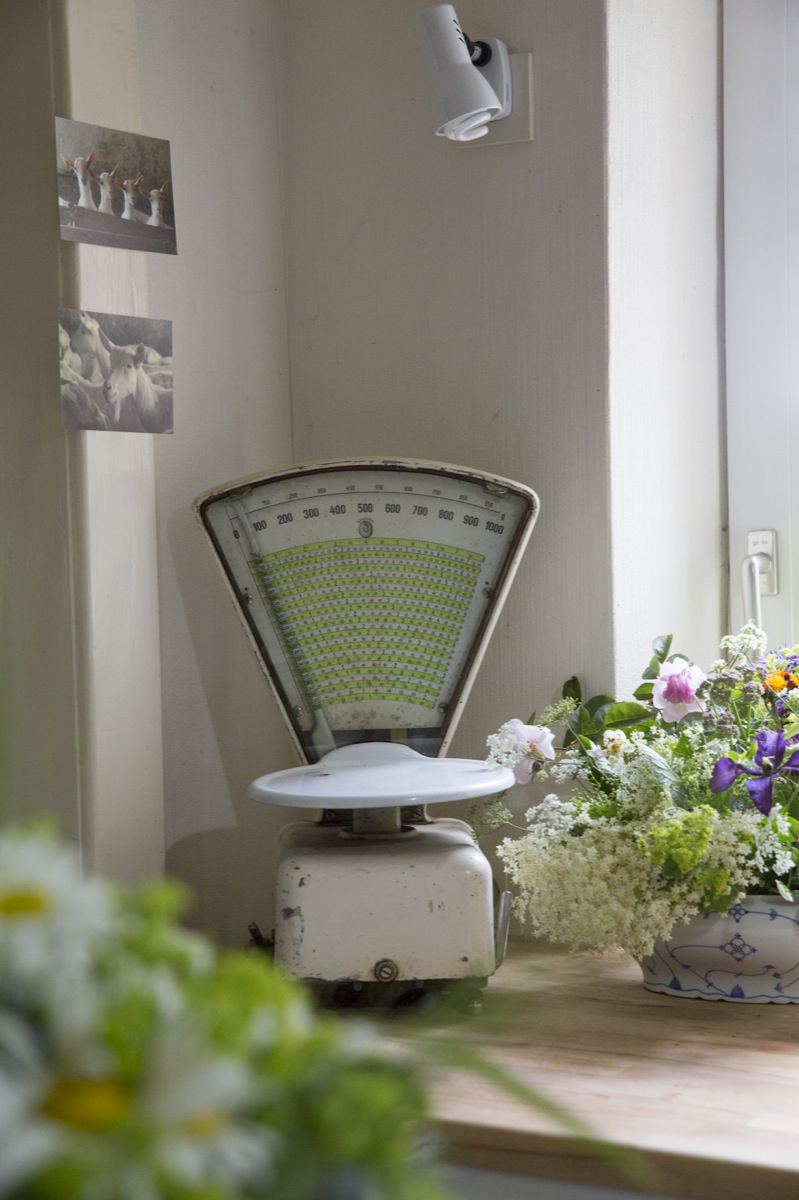 Tartelettes mit karamellisierten Zwiebeln und Ziegenkäse Tartelettes mit karamellisierten Zwiebeln und Ziegenkäse | K85B1785.jpg