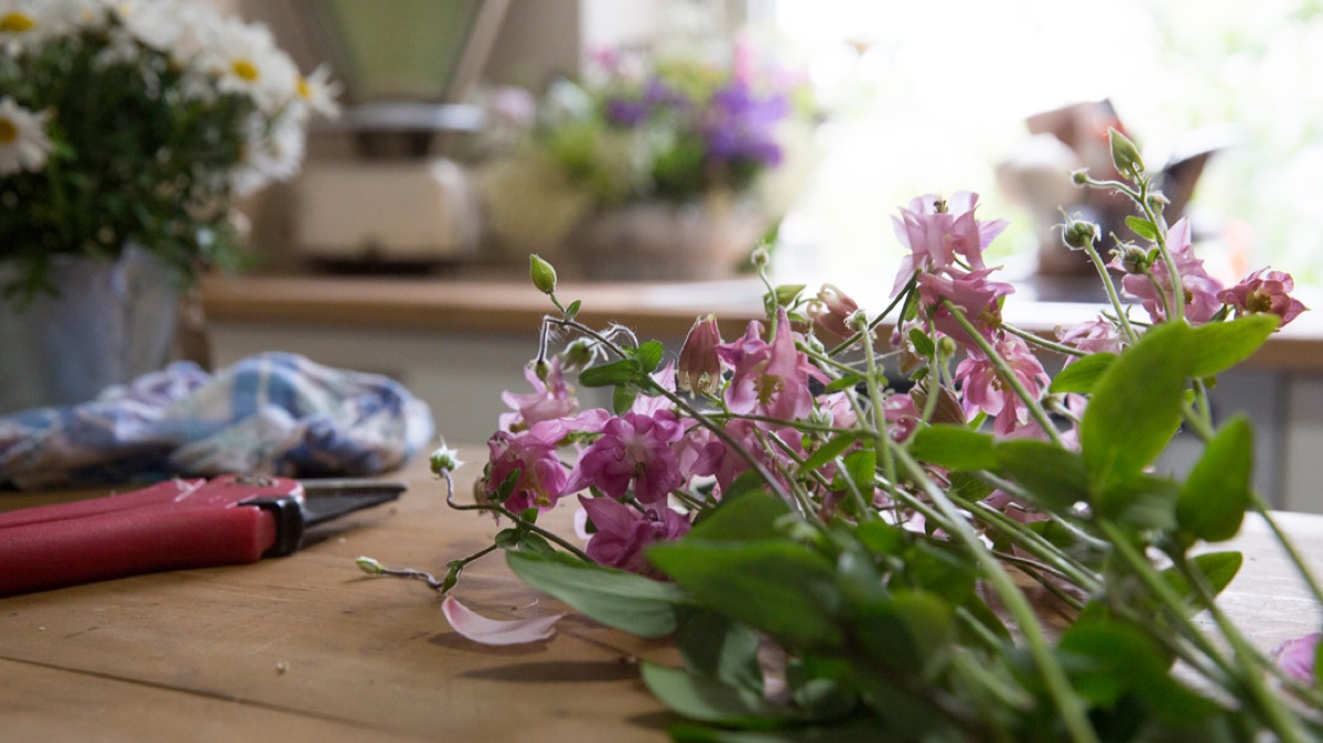 Tartelettes mit karamellisierten Zwiebeln und Ziegenkäse Tartelettes mit karamellisierten Zwiebeln und Ziegenkäse | K85B1793.jpg