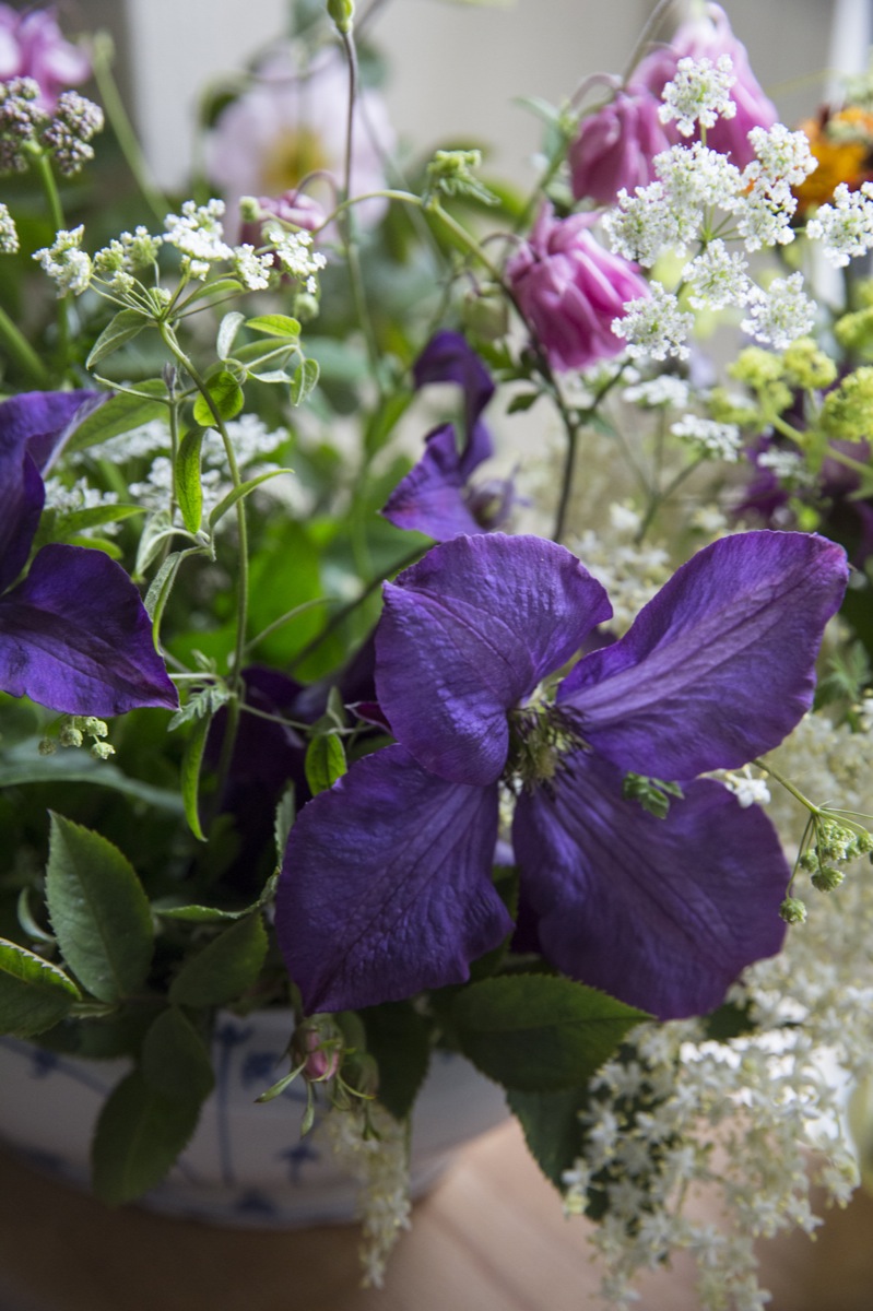 Tartelettes mit karamellisierten Zwiebeln und Ziegenkäse Tartelettes mit karamellisierten Zwiebeln und Ziegenkäse | K85B1821.jpg
