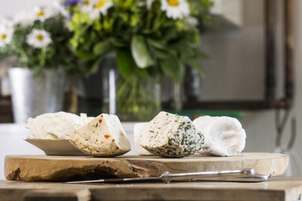 Tartelettes mit karamellisierten Zwiebeln und Ziegenkäse Tartelettes mit karamellisierten Zwiebeln und Ziegenkäse | K85B2088.jpg