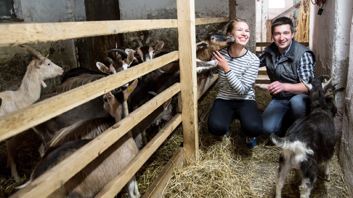 Tartelettes mit karamellisierten Zwiebeln und Ziegenkäse Tartelettes mit karamellisierten Zwiebeln und Ziegenkäse | K85B2593.jpg