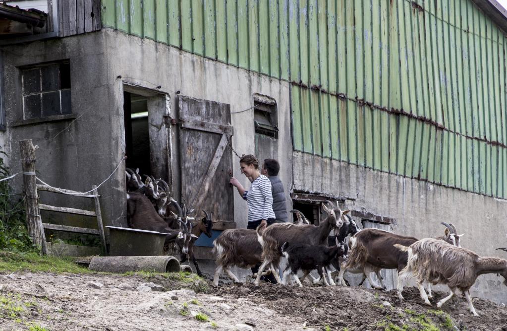 Tartelettes mit karamellisierten Zwiebeln und Ziegenkäse Tartelettes mit karamellisierten Zwiebeln und Ziegenkäse | K85B2645.jpg