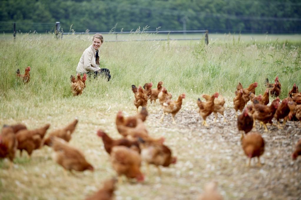 Orientalisches Huhn aus dem Ofen Orientalisches Huhn aus dem Ofen | _DSC2950.jpg