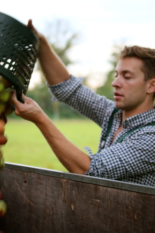 Butterscotch Apple Crumble Butterscotch Apple Crumble | IMG_6249.jpg