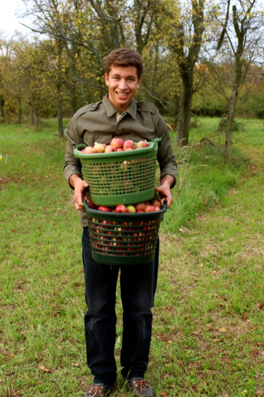 Butterscotch Apple Crumble Butterscotch Apple Crumble | Simon.jpg