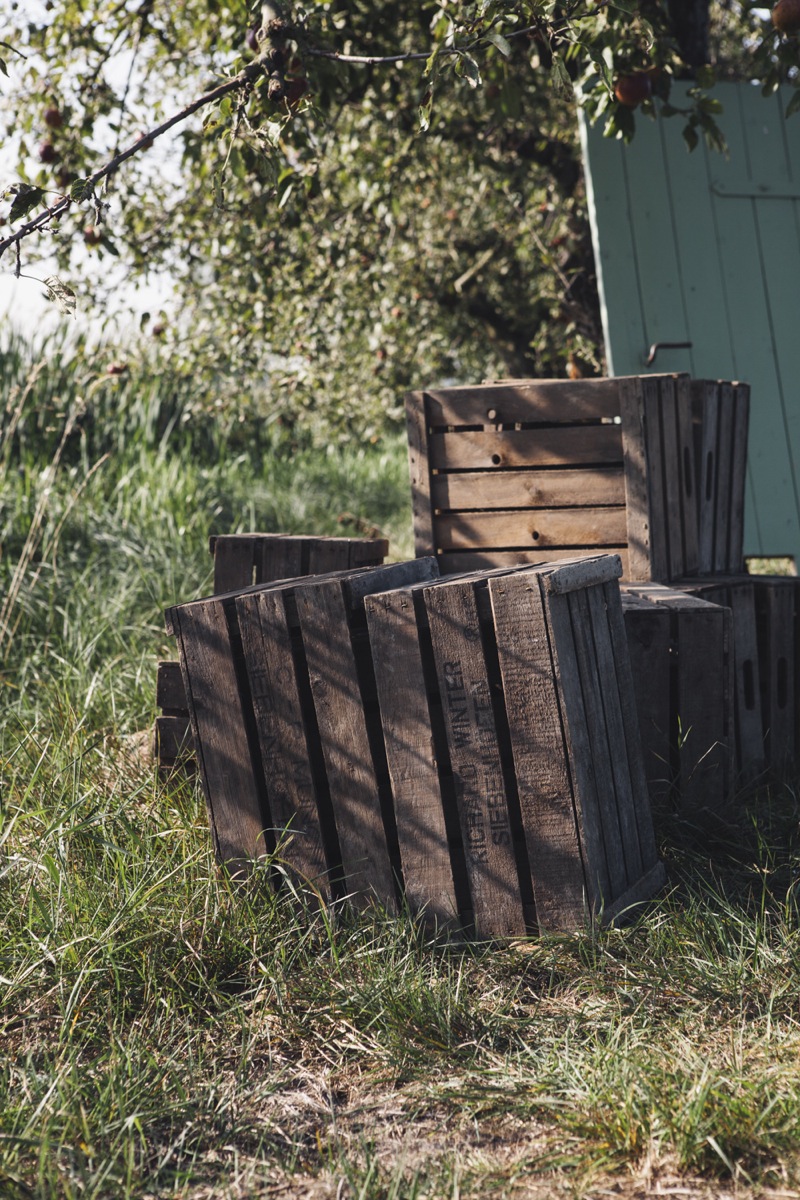 Apple Pie mit Karamellsauce Apple Pie mit Karamellsauce | goedke_tk_apfelpicknick-10.jpg