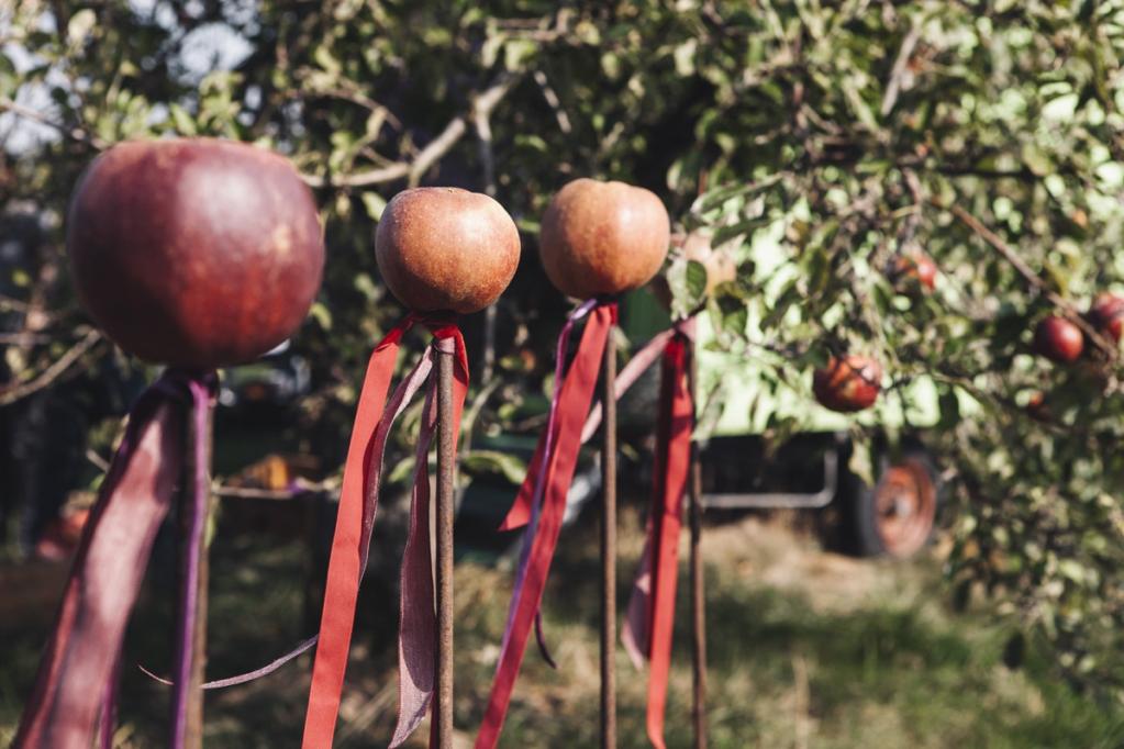 Apple Pie mit Karamellsauce Apple Pie mit Karamellsauce | goedke_tk_apfelpicknick-43.jpg