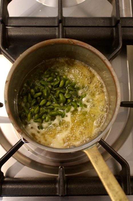 Aprikosentarte mit Pistazien Aprikosentarte mit Pistazien | IMG_0506.jpg