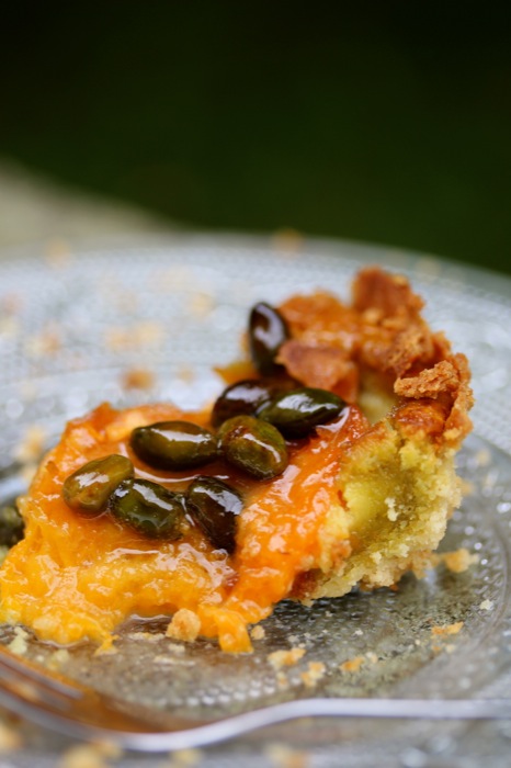 Aprikosentarte mit Pistazien Aprikosentarte mit Pistazien | IMG_0662.jpg