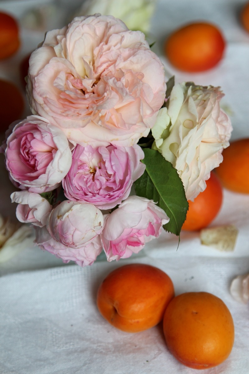 Aprikosen Crumble mit Lavendel-Zitronen-Creme Aprikosen Crumble mit Lavendel-Zitronen-Creme | IMG_7049.jpg