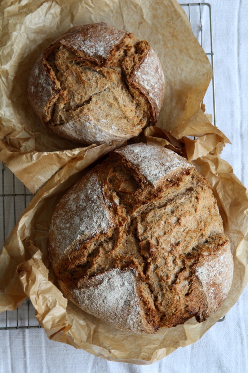 Theresas Küche - Dinkelvollkornbrot mit Tomaten-Thymian-Butter