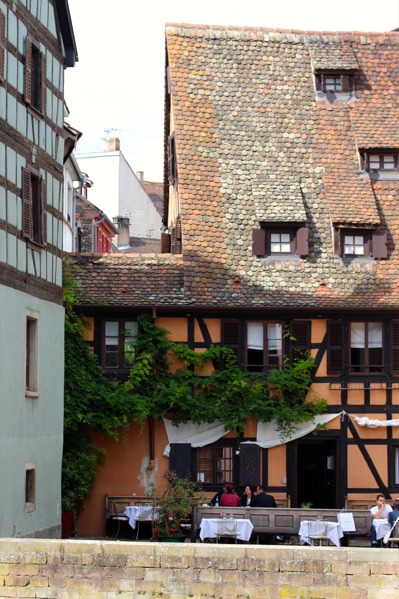 Ein geniales Fenchel-Rezept! | Elsass.jpg