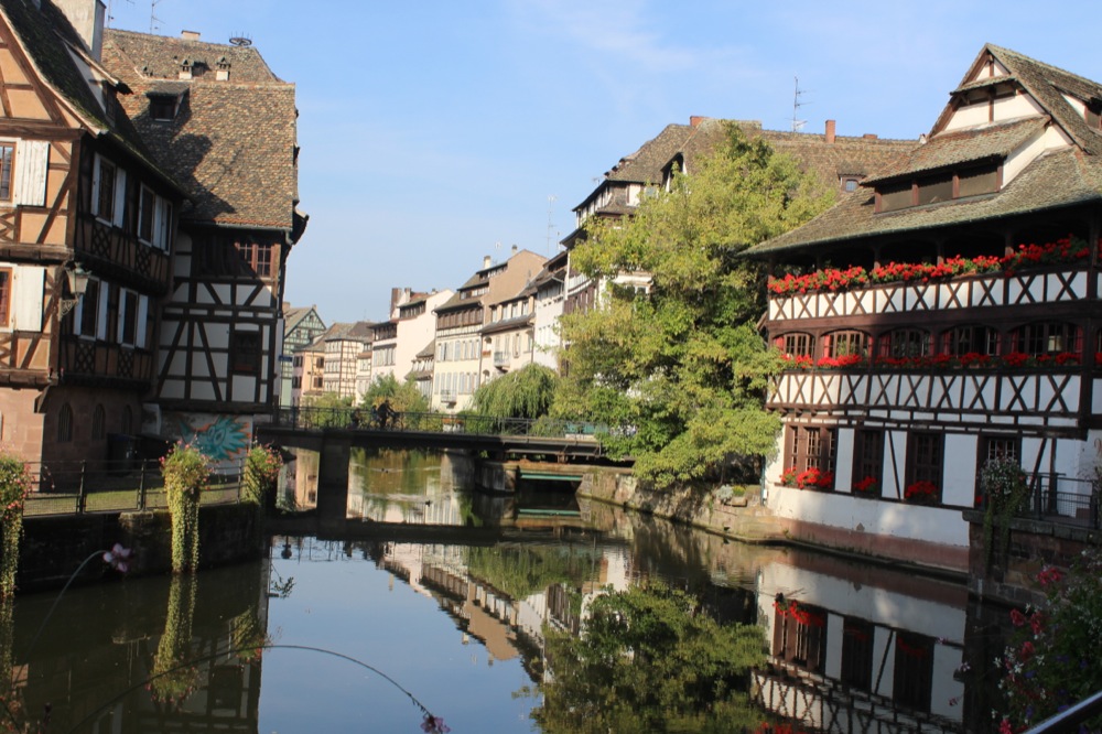 Ein geniales Fenchel-Rezept! | IMG_4517.JPG