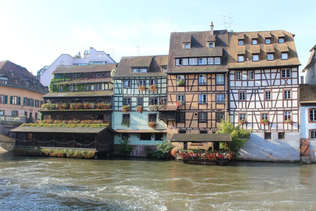 Ein geniales Fenchel-Rezept! | IMG_4523.JPG