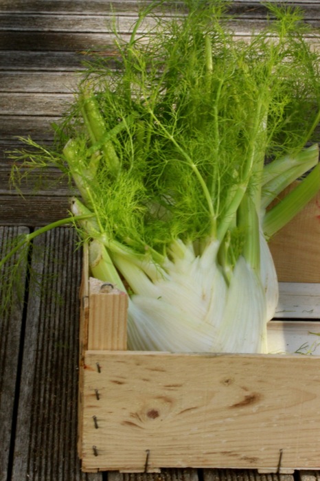 Ein geniales Fenchel-Rezept! | IMG_9489.jpg