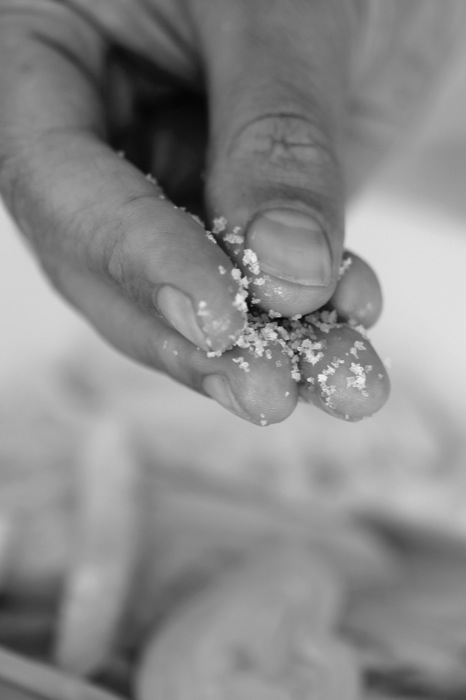 Ein geniales Fenchel-Rezept! | IMG_9545.jpg