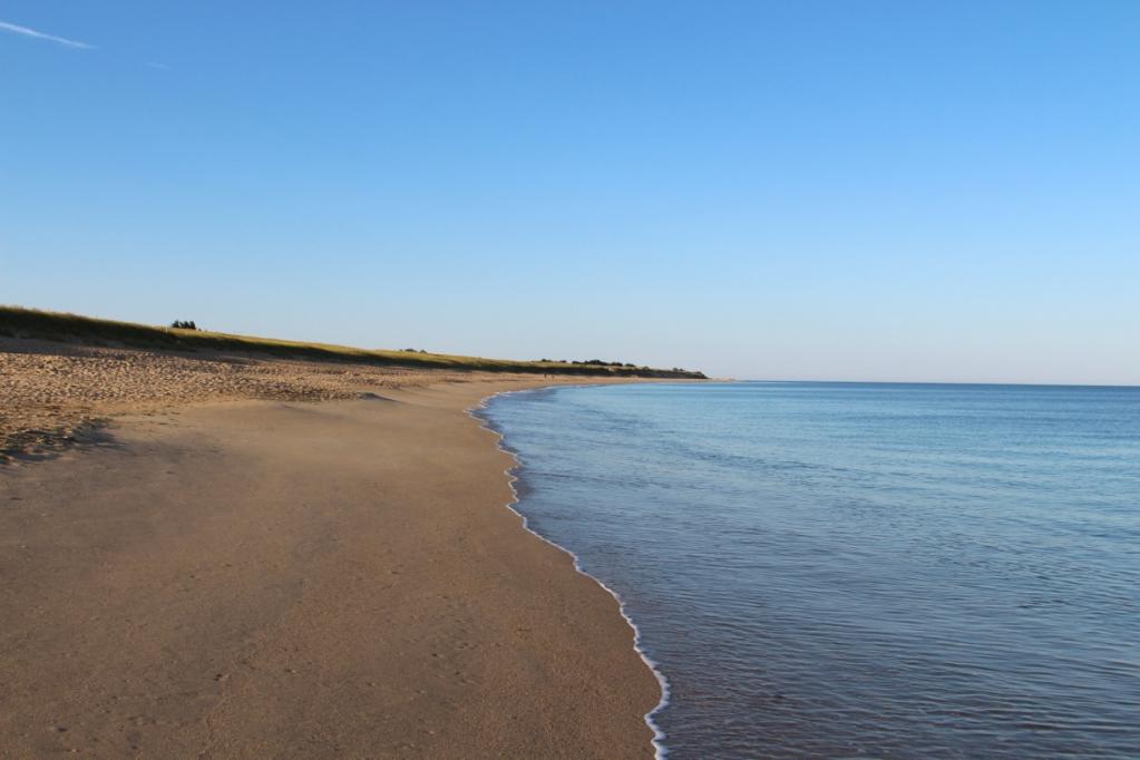 Sommerfrüchte-Torte | IMG_7733.JPG