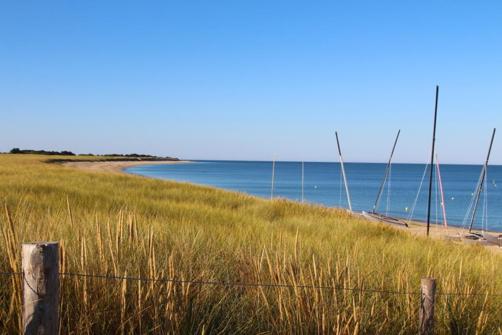 Sommerfrüchte-Torte | IMG_7746.JPG